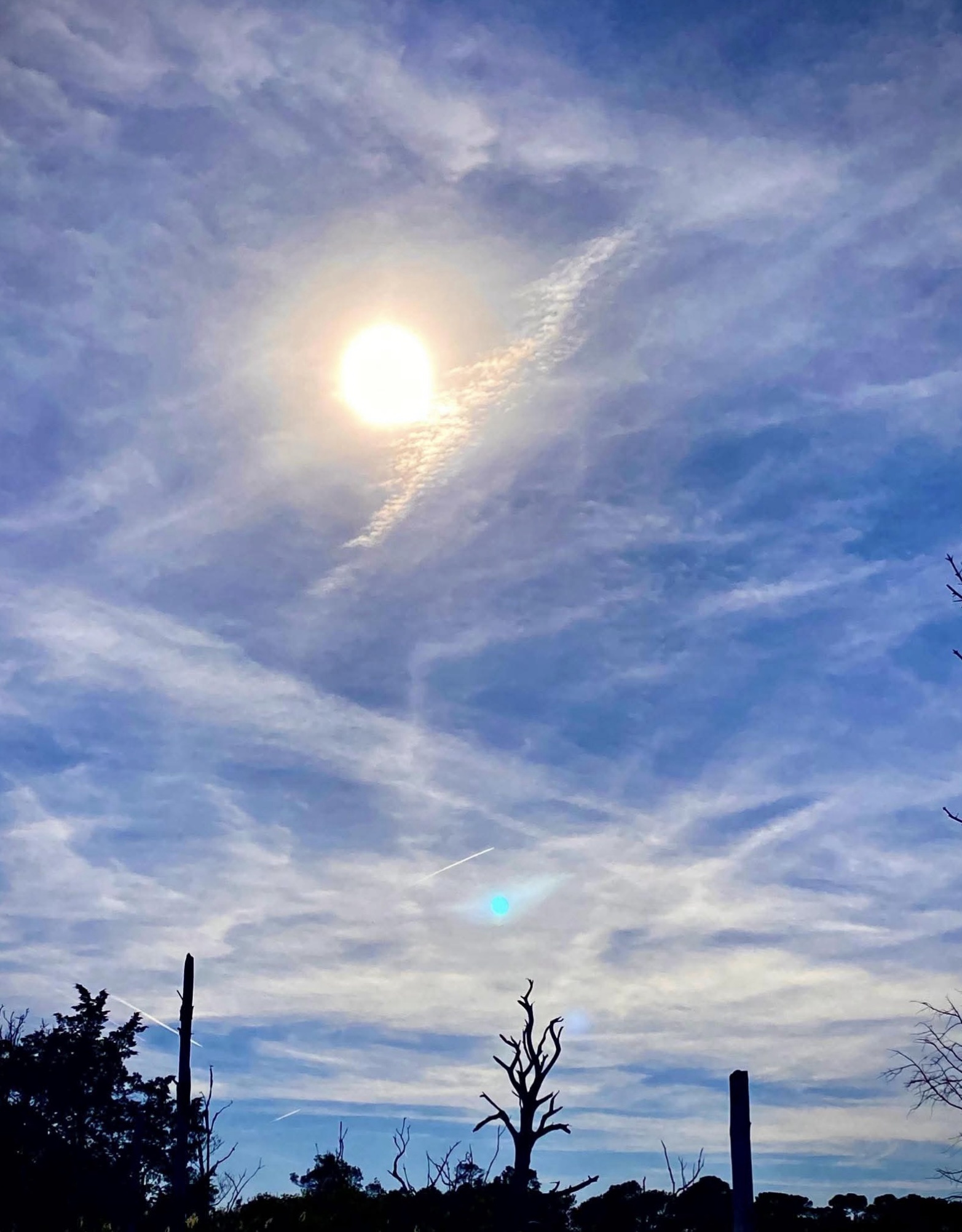 The Bright and Cheerful Sun