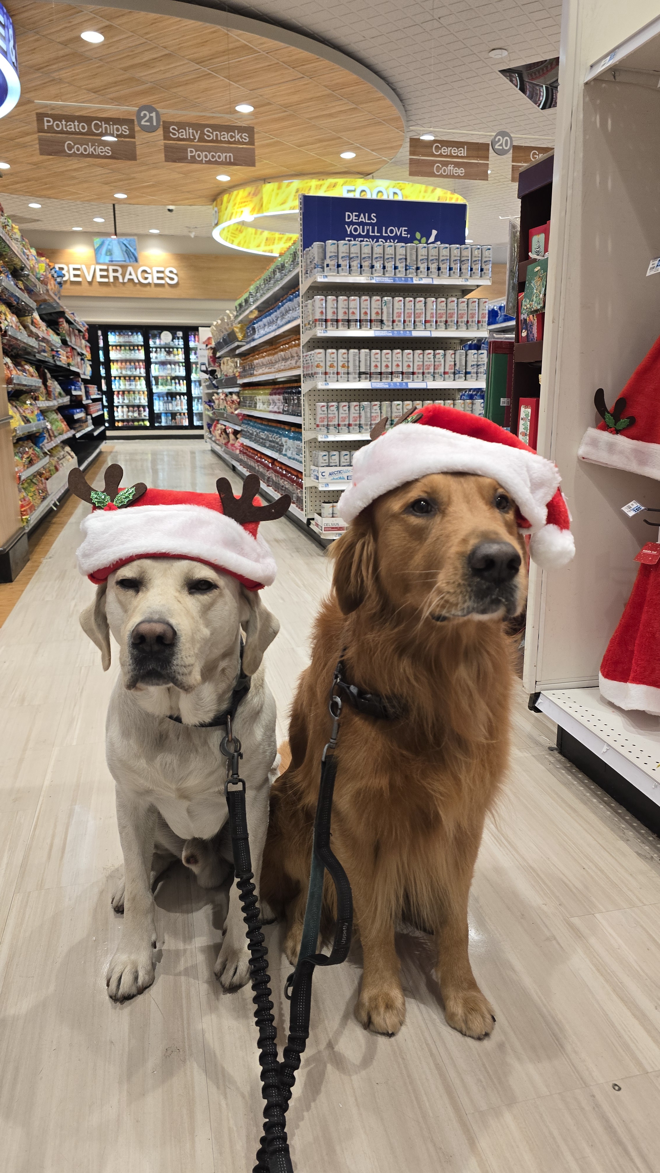 A Mysterious Encounter at Rite-Aid: Shadow and Chance