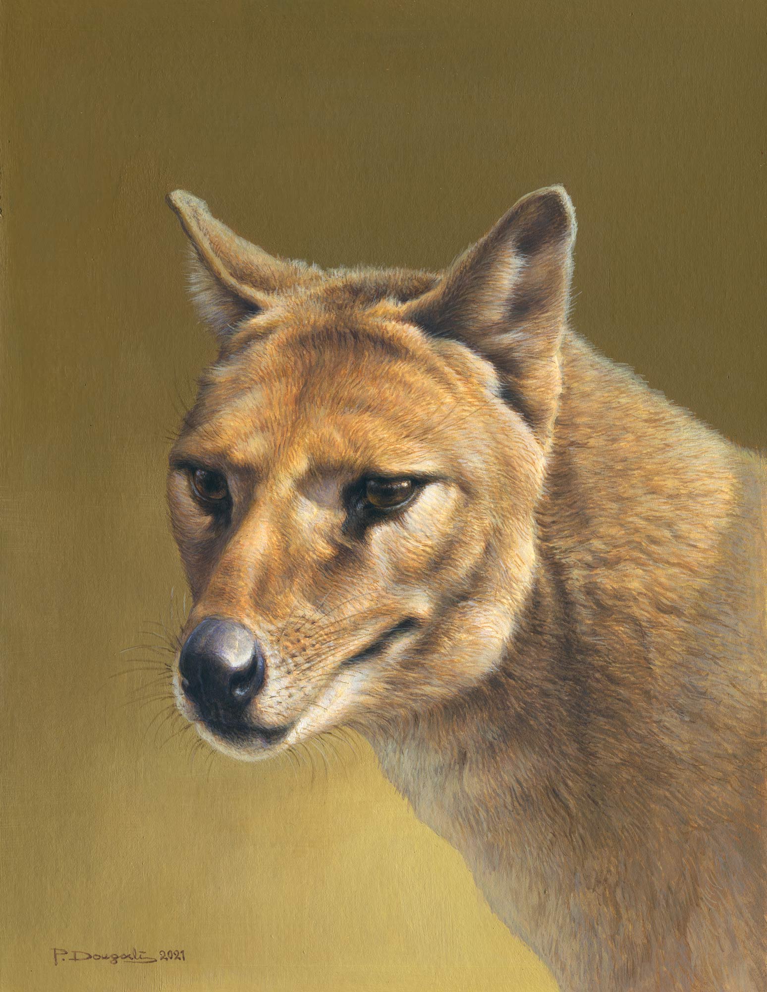 The Last Thylacine: A poignant reminder of nature's fragility.