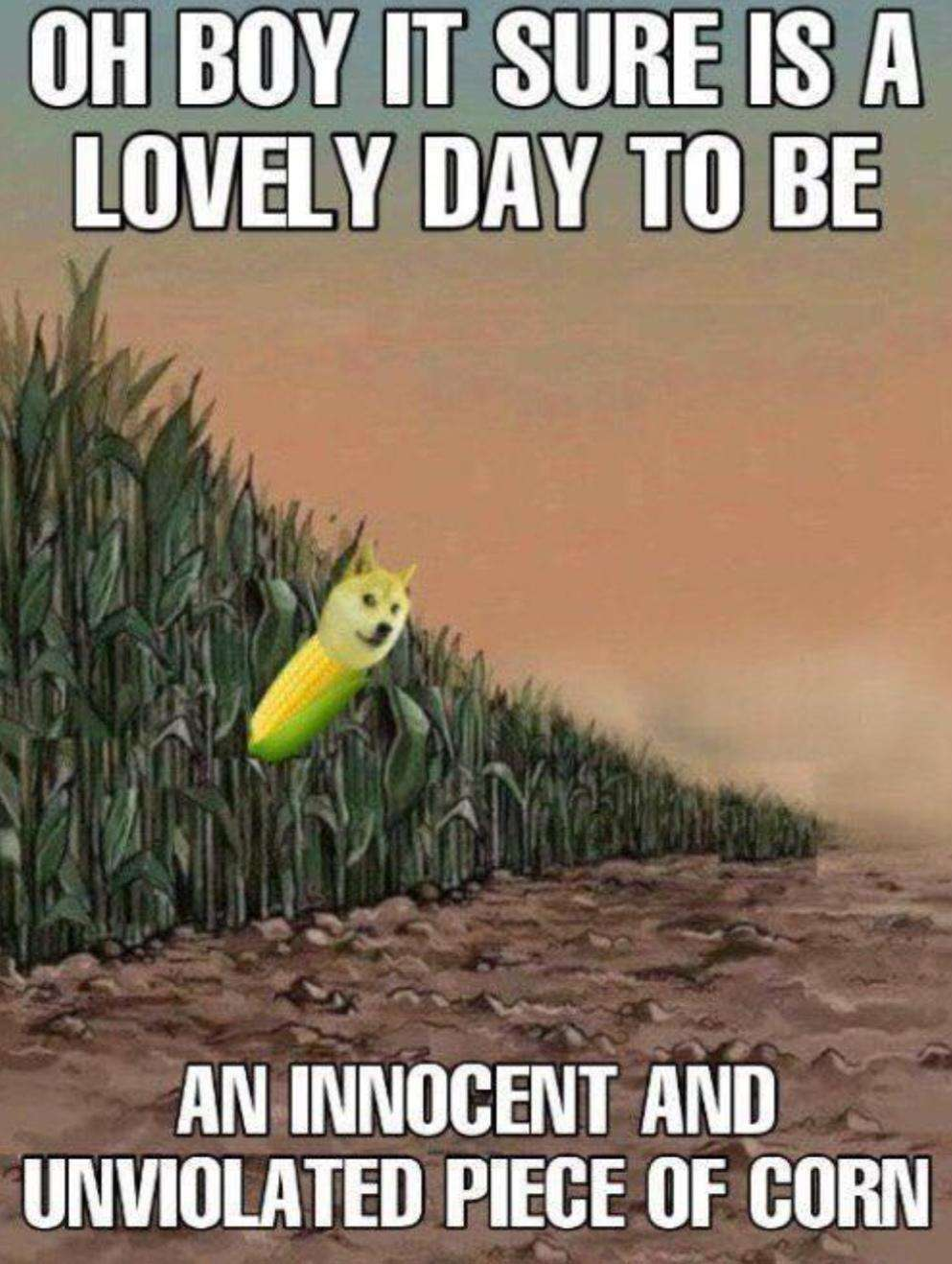 It's a Fantastic Day to Be Corn!