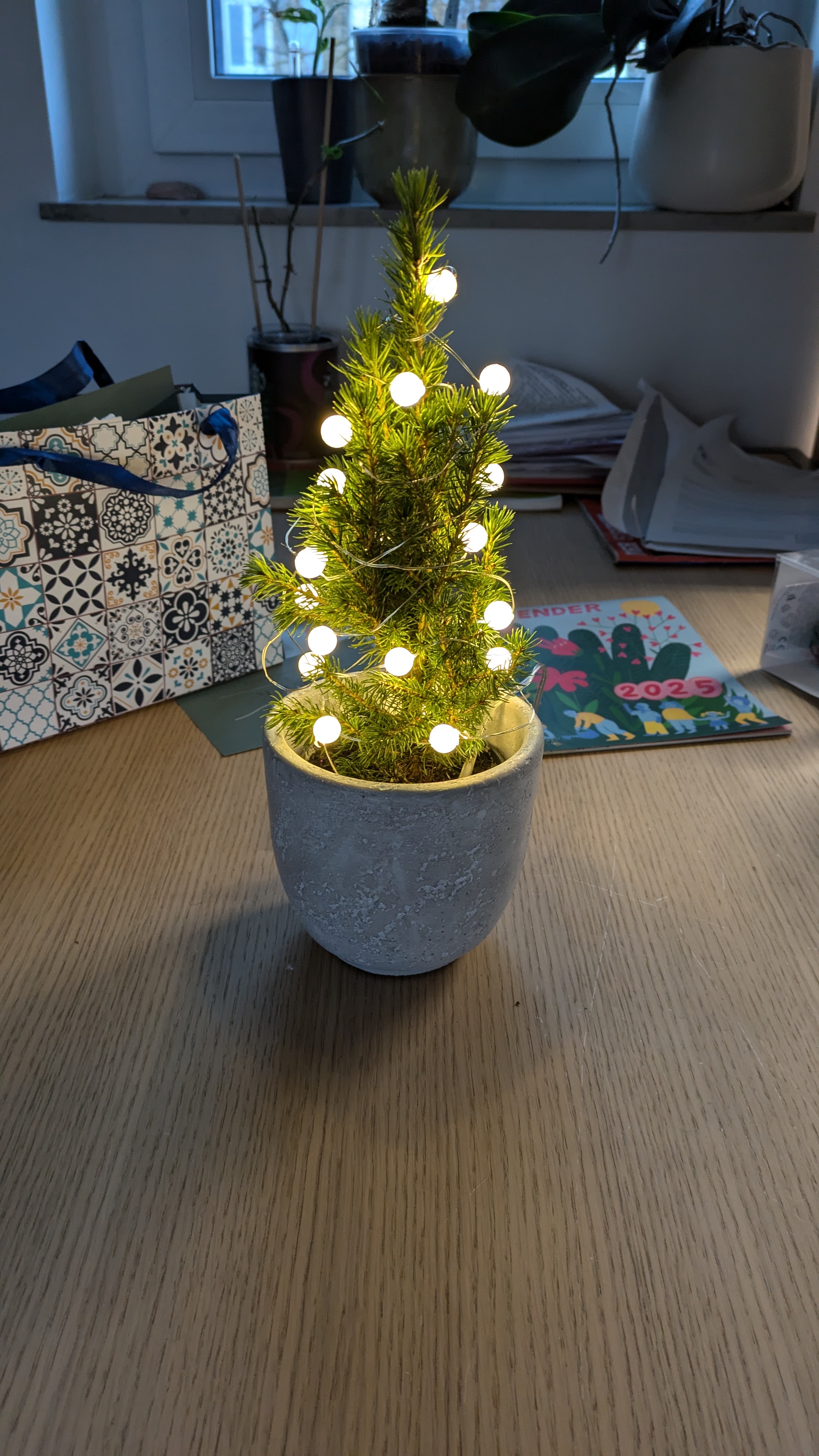 Behold My Very First Christmas Tree!