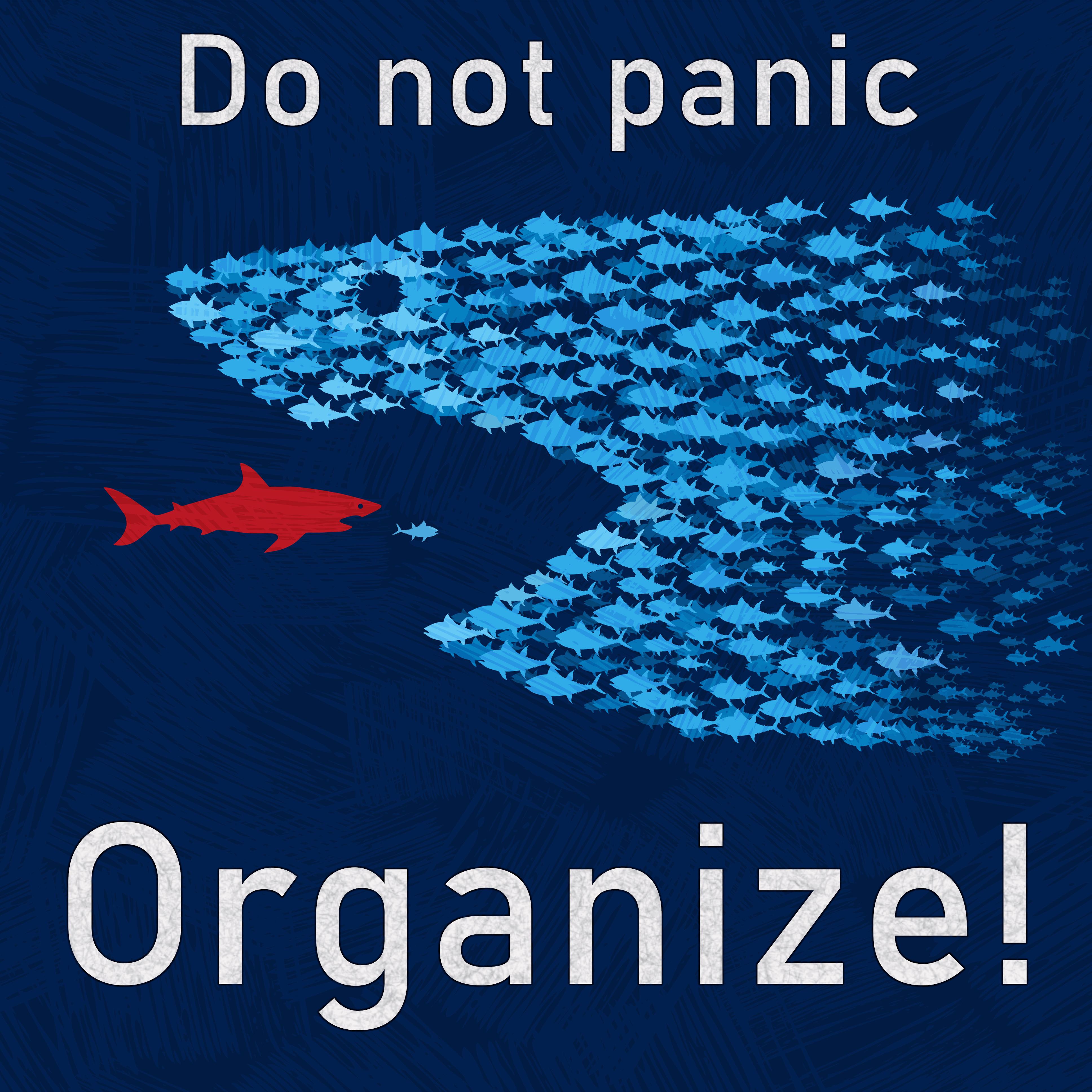 Stay Calm and Organize: A Guide to Managing Chaos