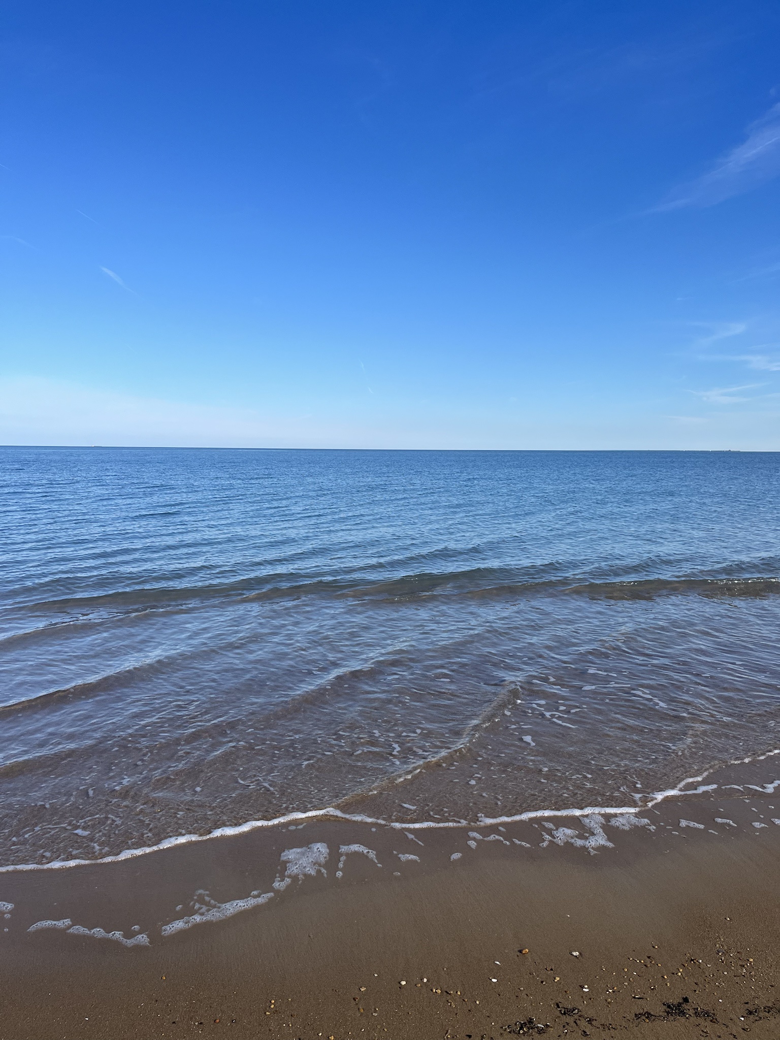 Refreshing Water: The Essence of Life