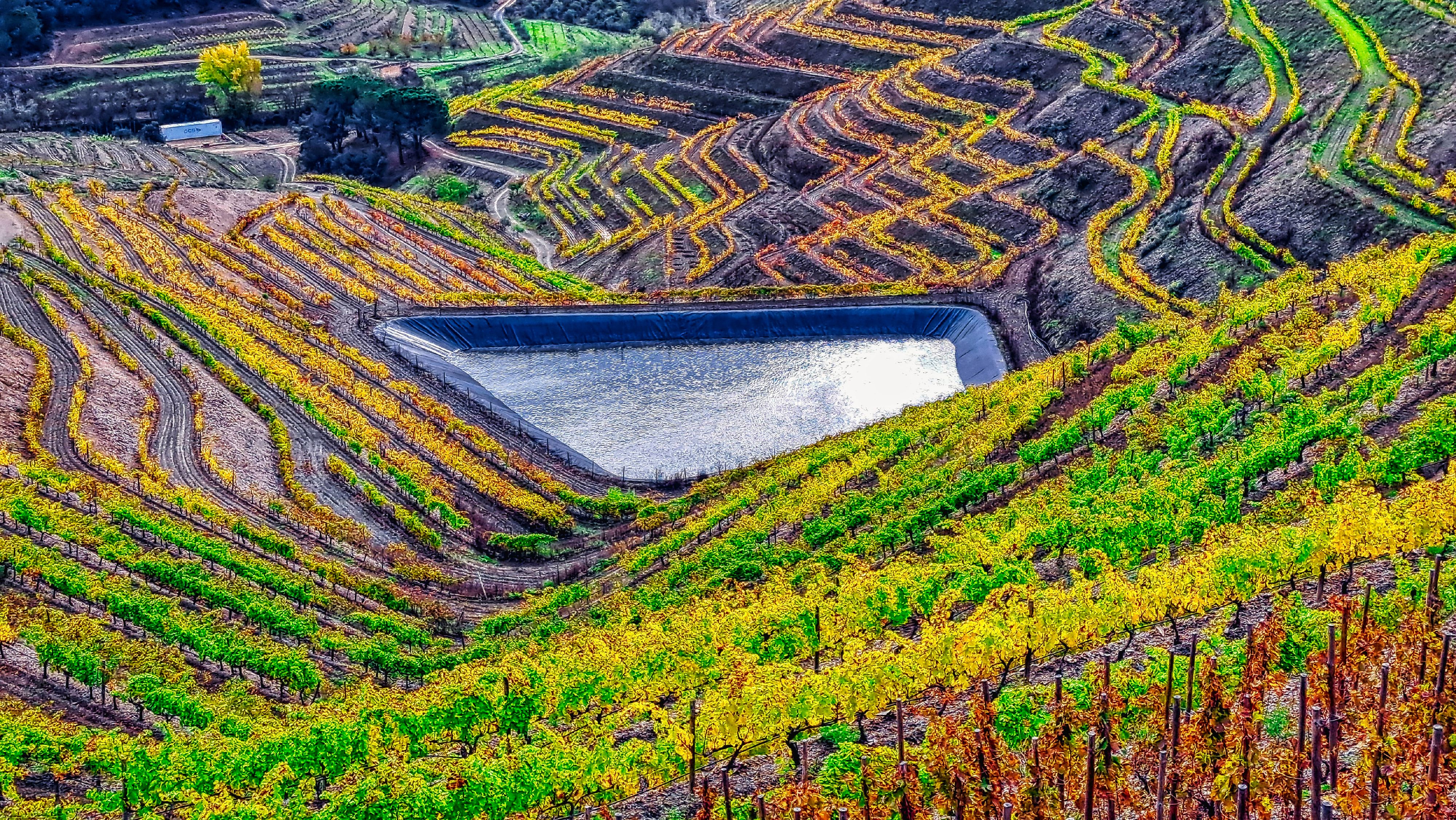 Autumn in the Vineyards of Poboleda - Priorat