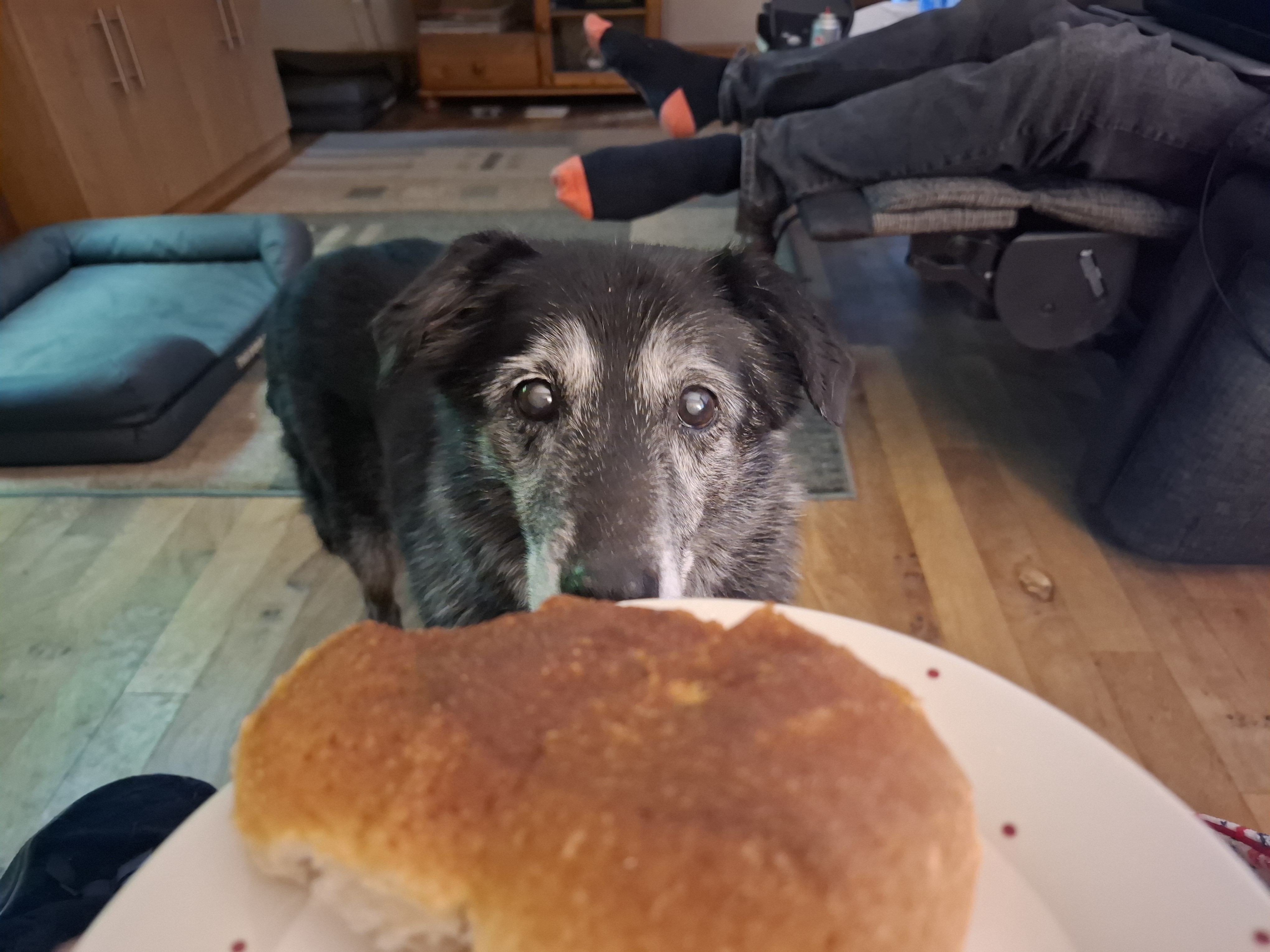Please, just give it to me!