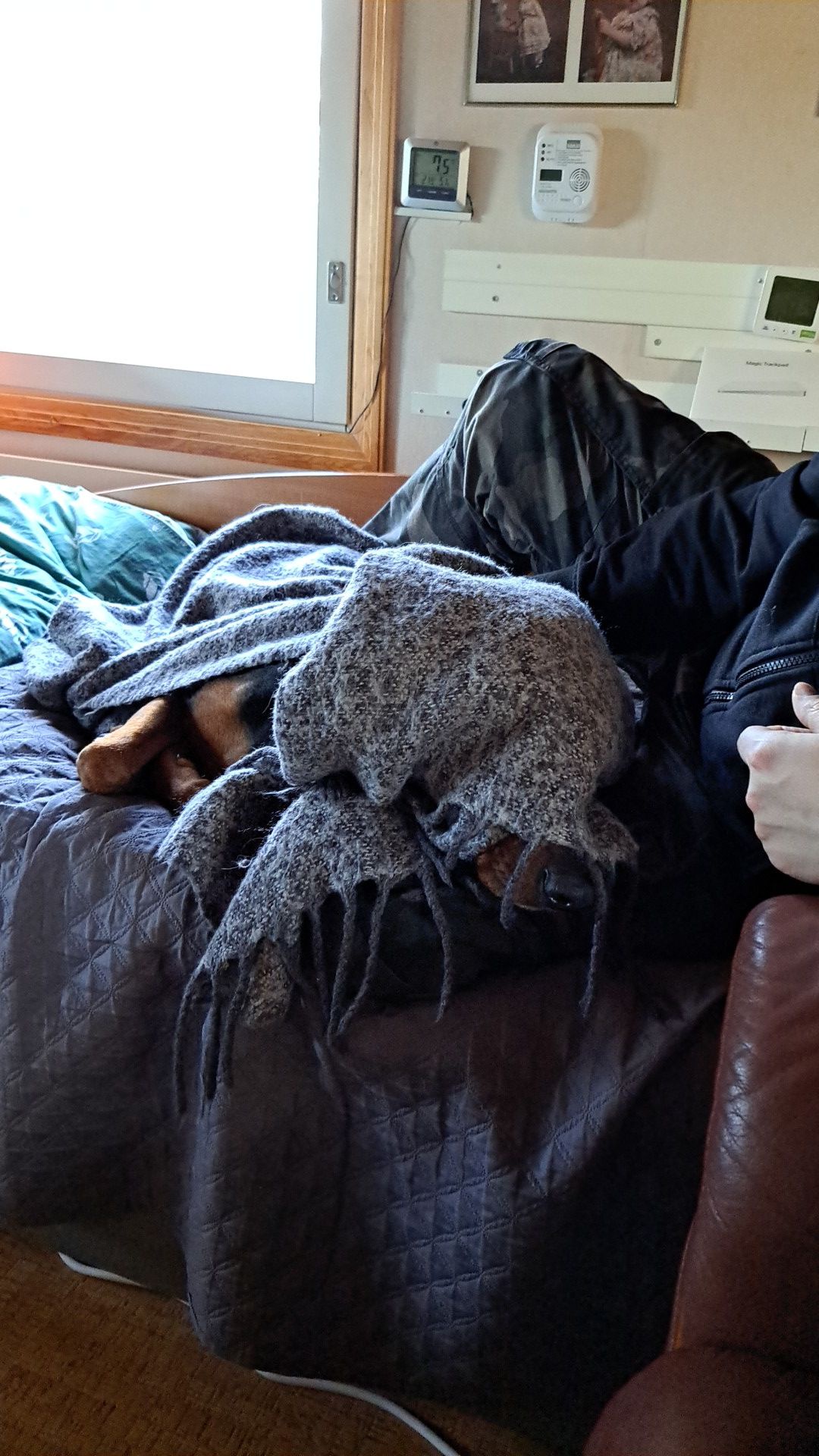 Time for a Cozy Naptime.