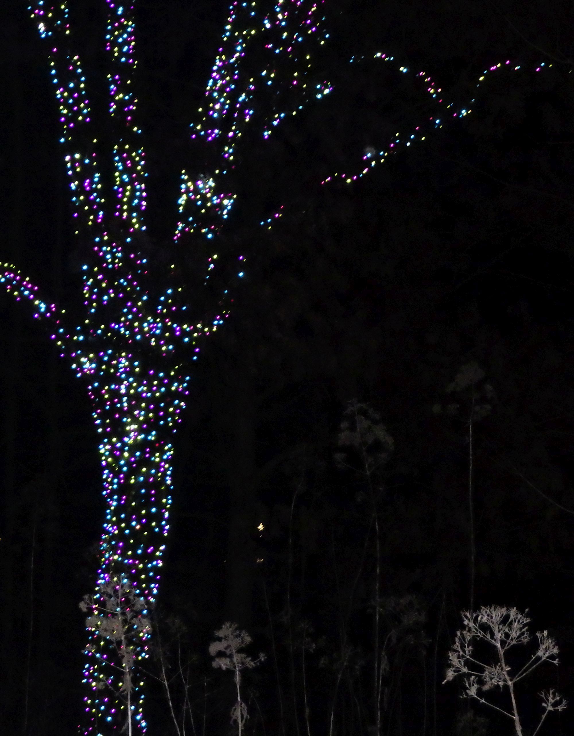 Discovering the Beauty of Longwood Gardens