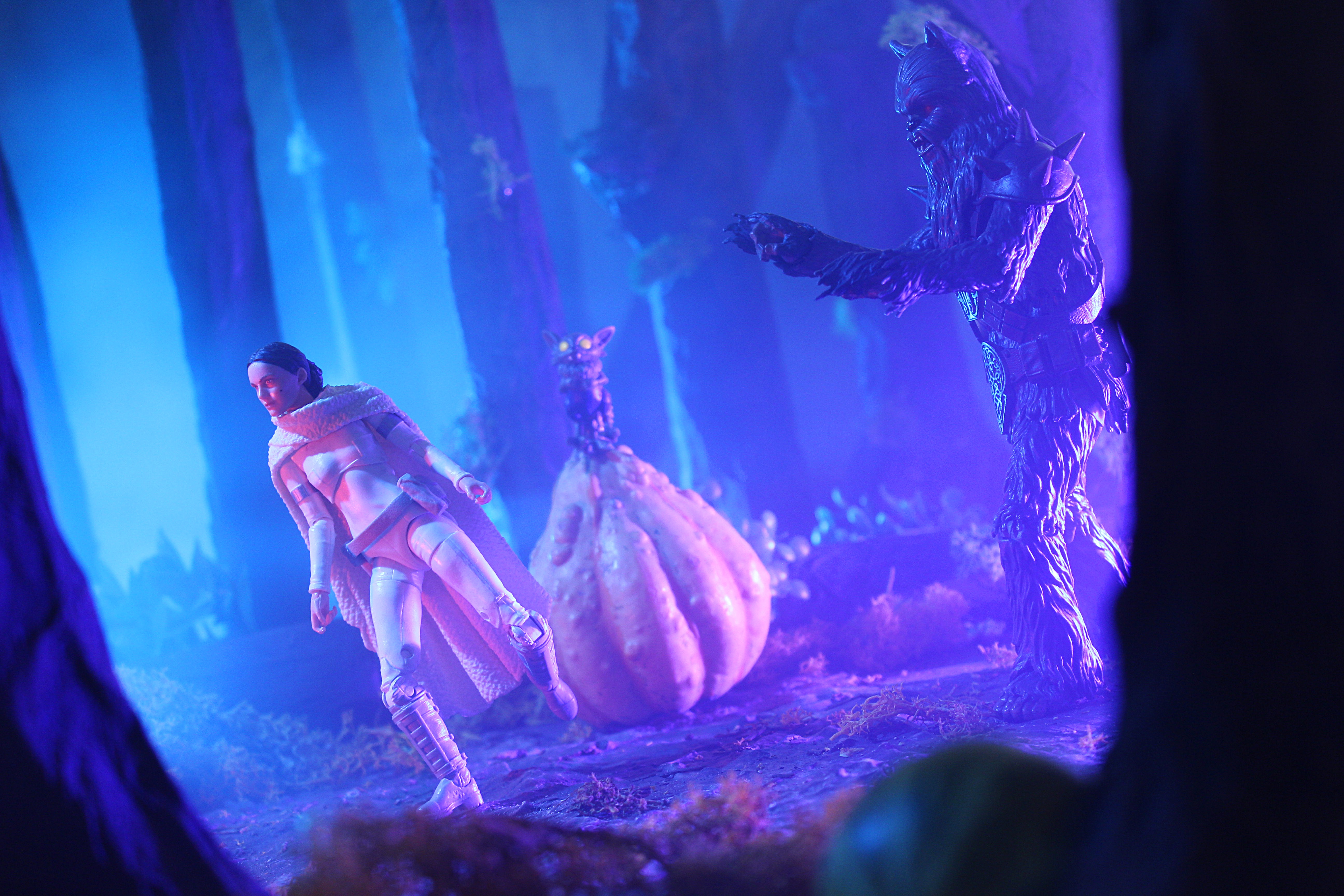 Adventuring Through the Enchanted Pumpkin Forest