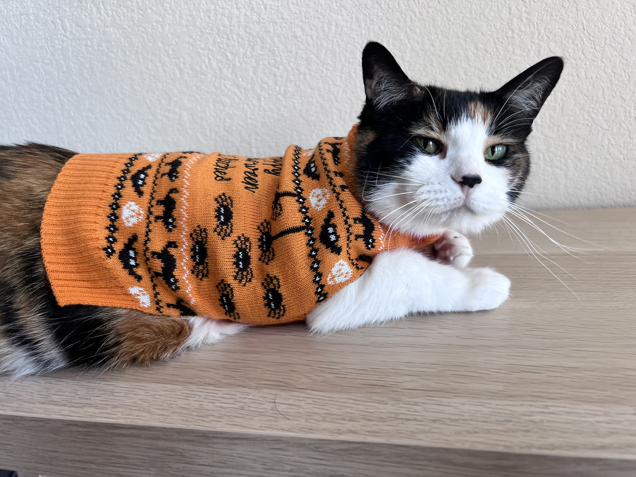 Wishing You a Spooky and Fun Halloween!