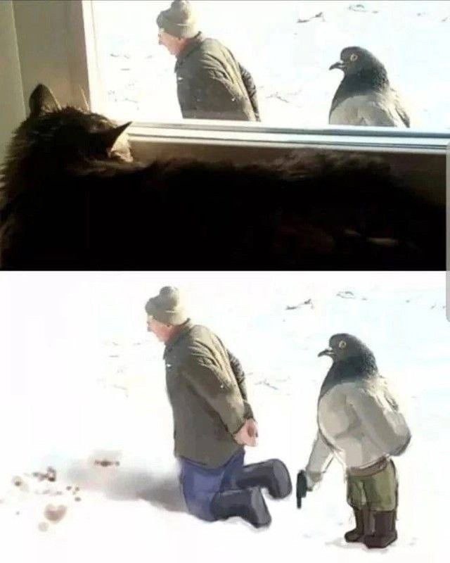 The Classic Showdown: Reality vs Expectation
