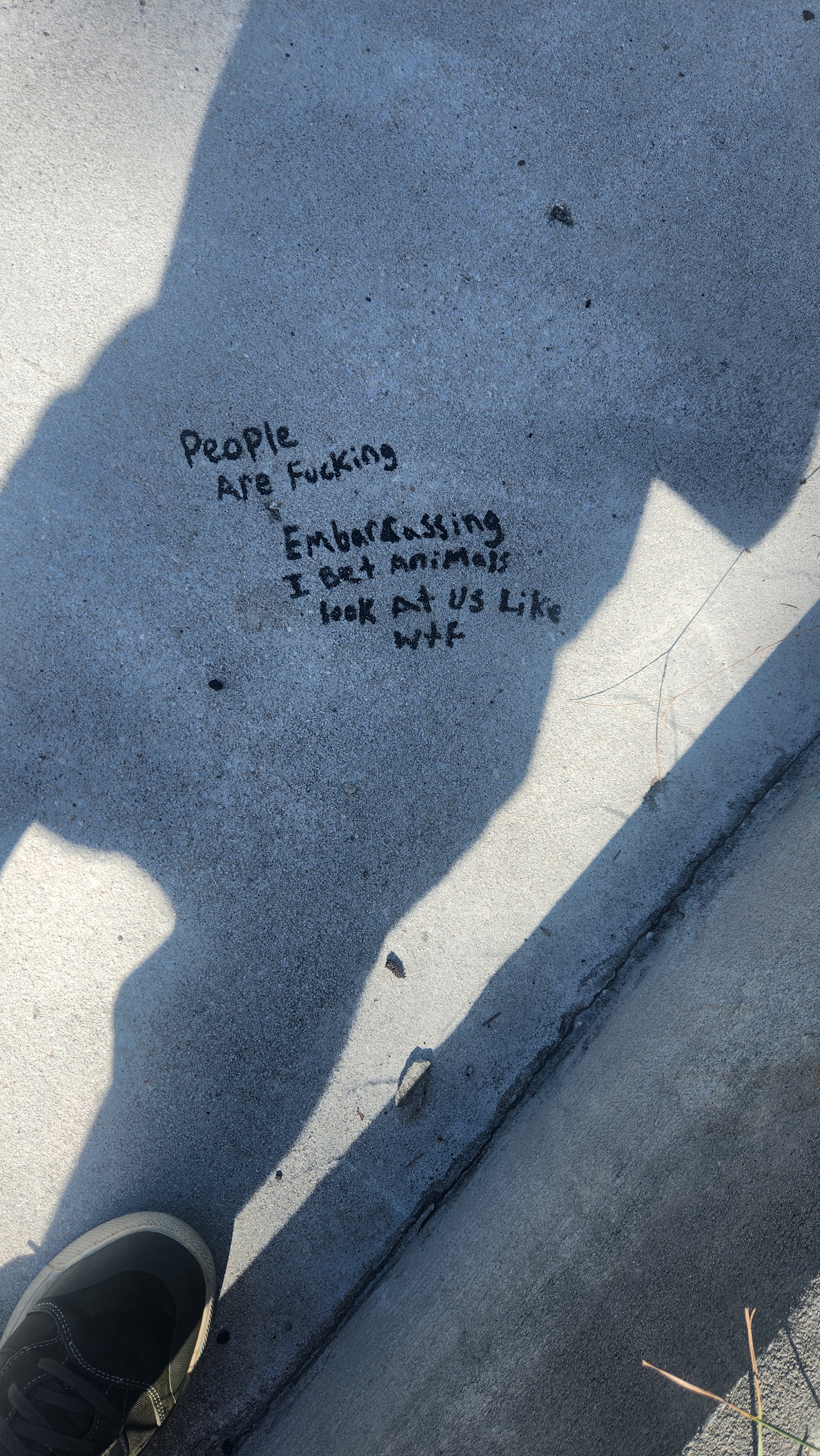 A Glimpse of My Day During Today's Walk