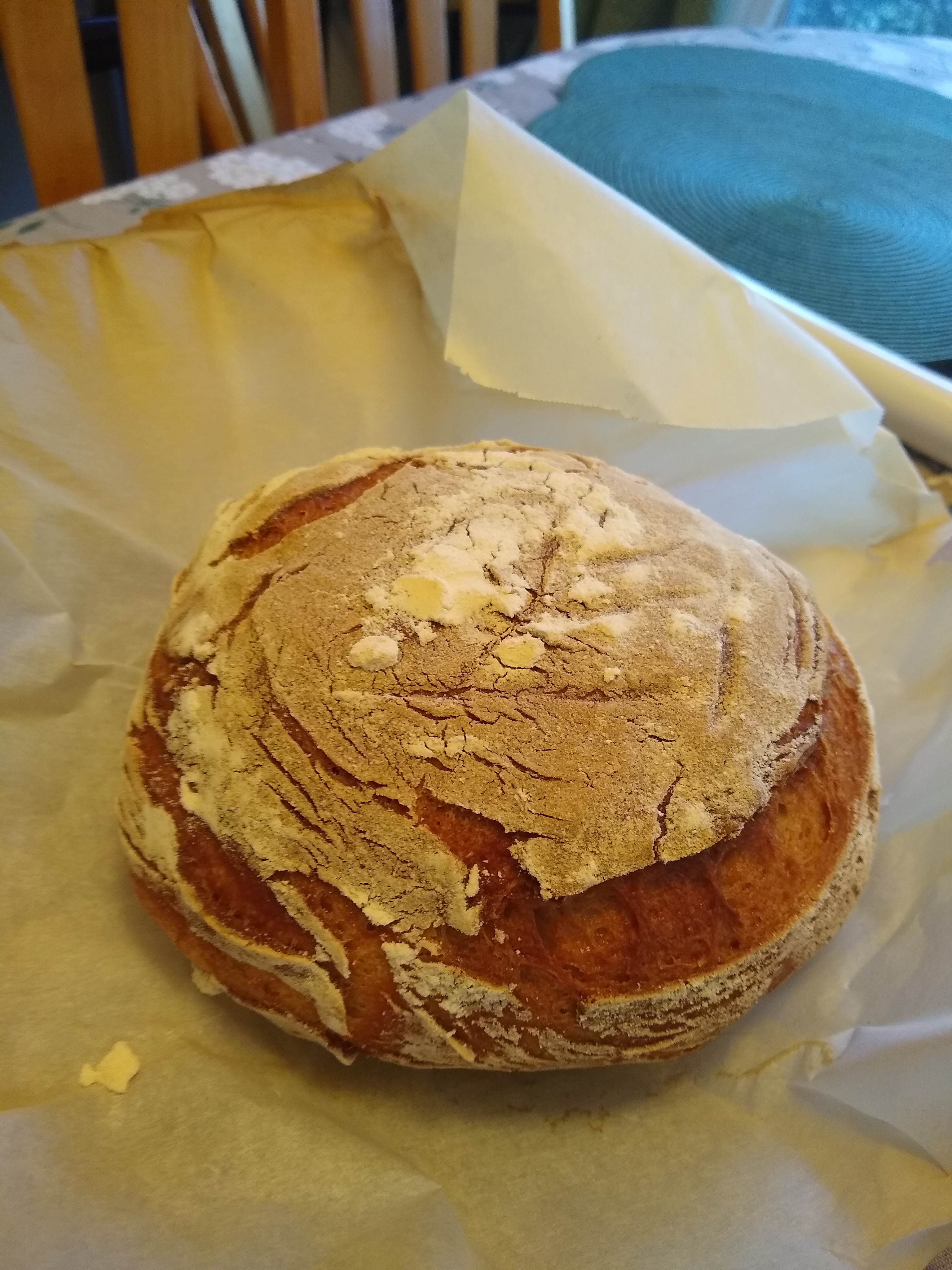 Behold my first successful gluten-free sourdough masterpiece!