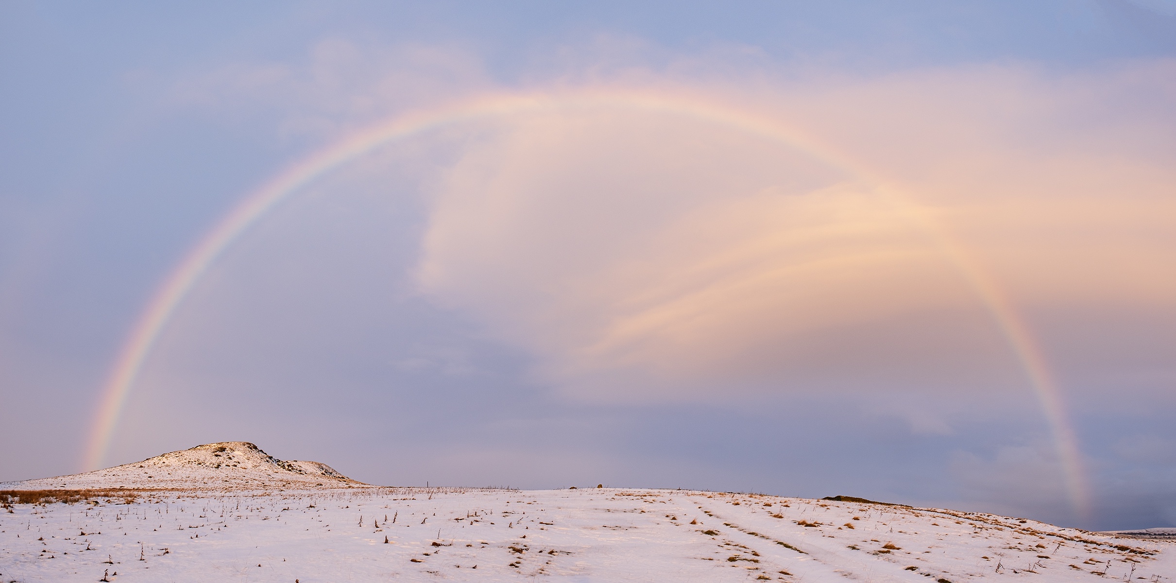 A Beautiful Burst of Color: Rainbow Vibes