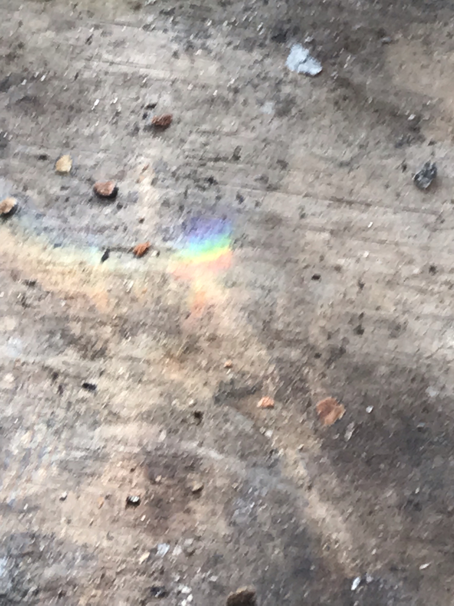 I Caught the Rainbow!