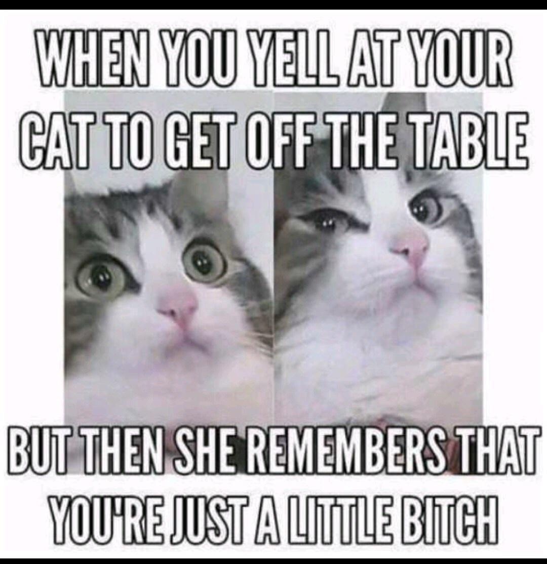 Your Daily Dose of Humor