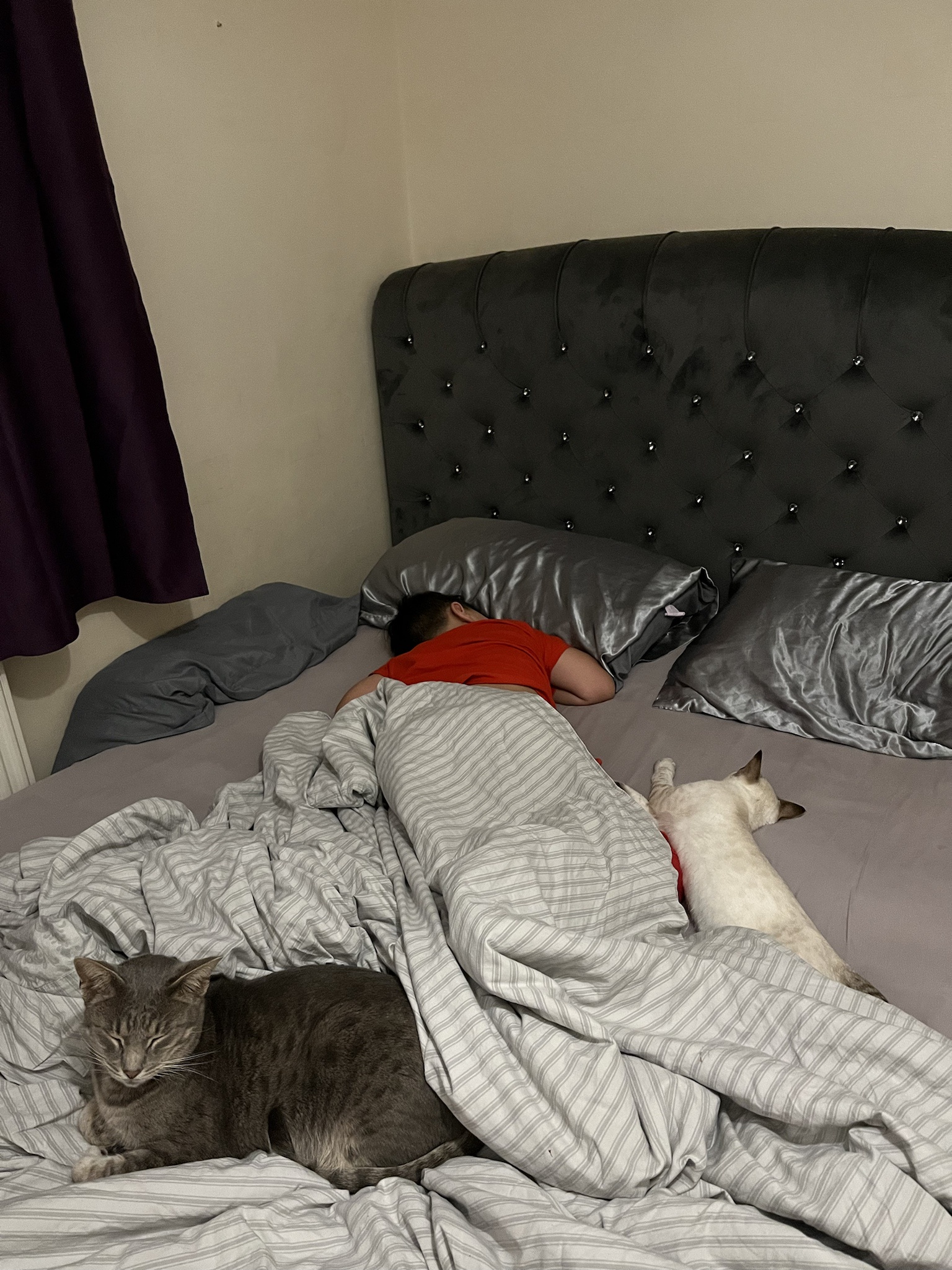 Guess I'll just make myself comfortable on the floor!