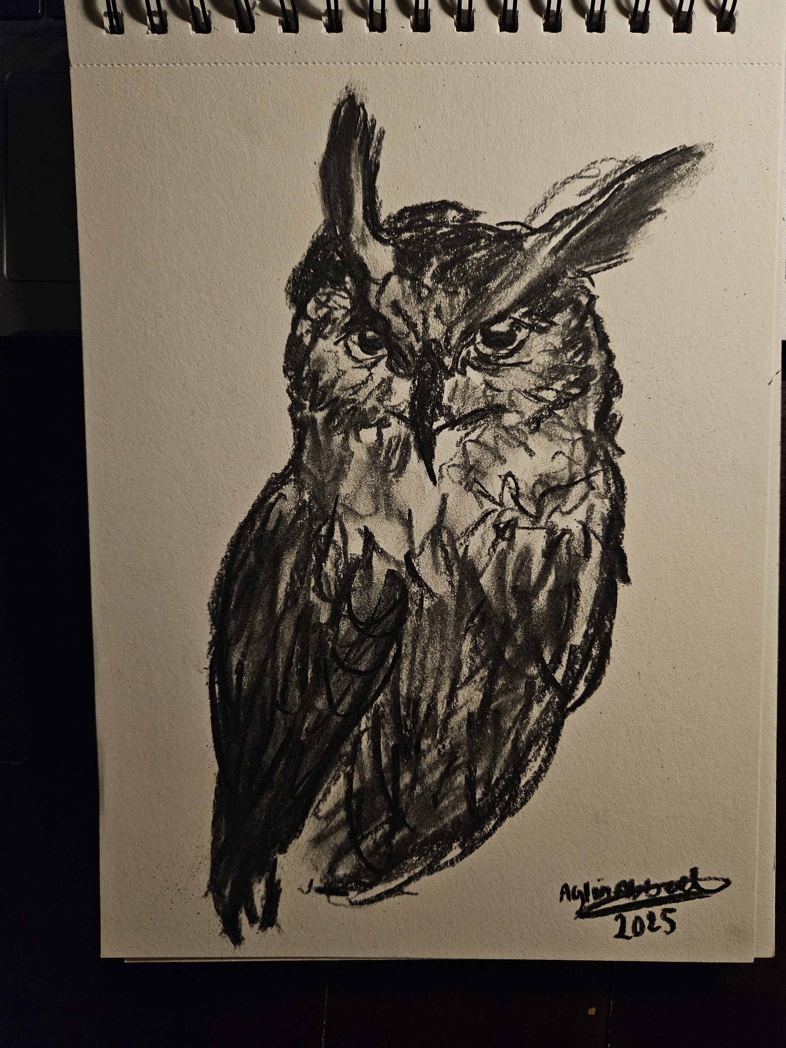 Whimsical Sketch of an Owl: A Touch of Nature's Magic