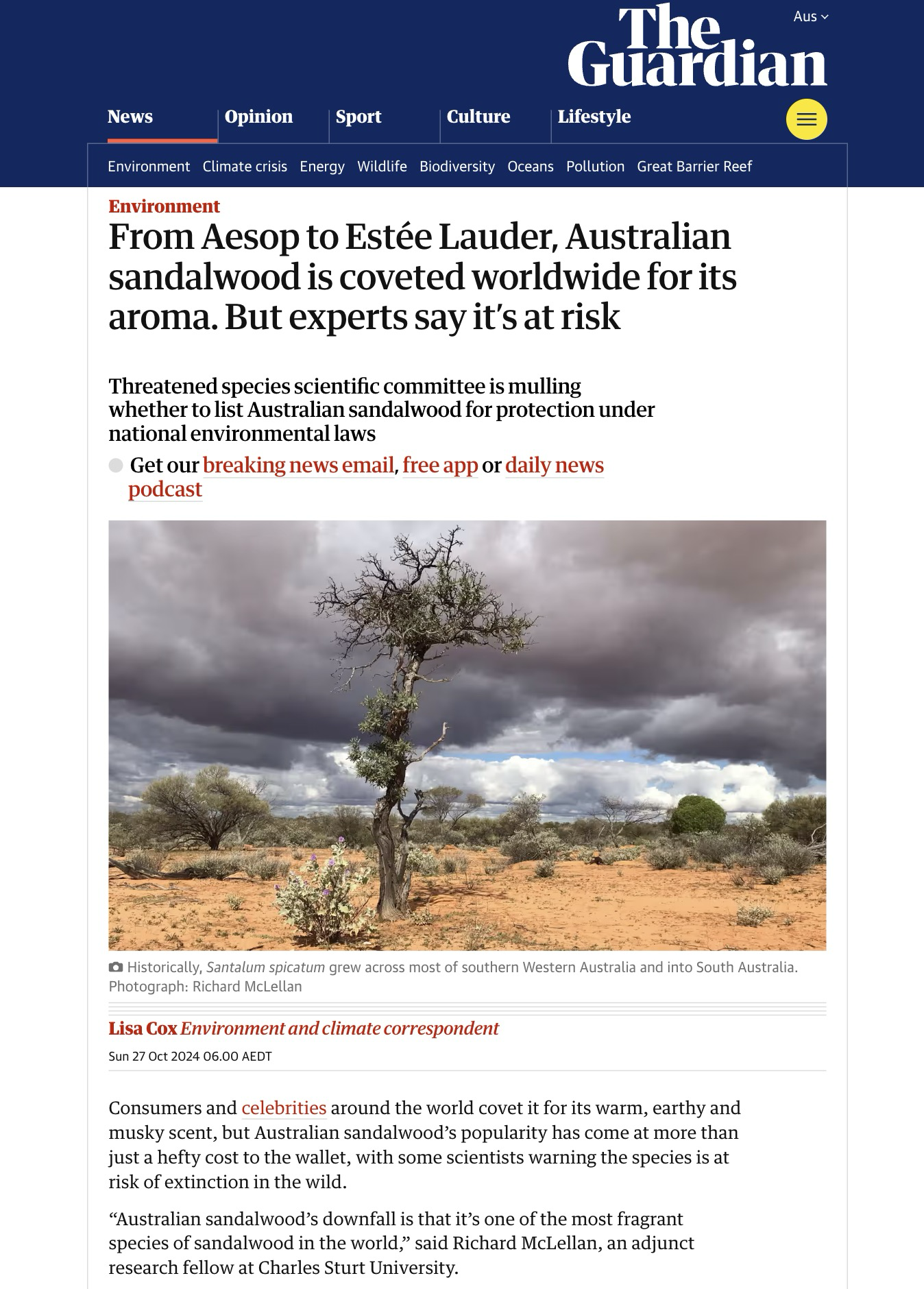 From Aesop to Estée Lauder: The Global Demand for Australian Sandalwood and Its Conservation Challenges