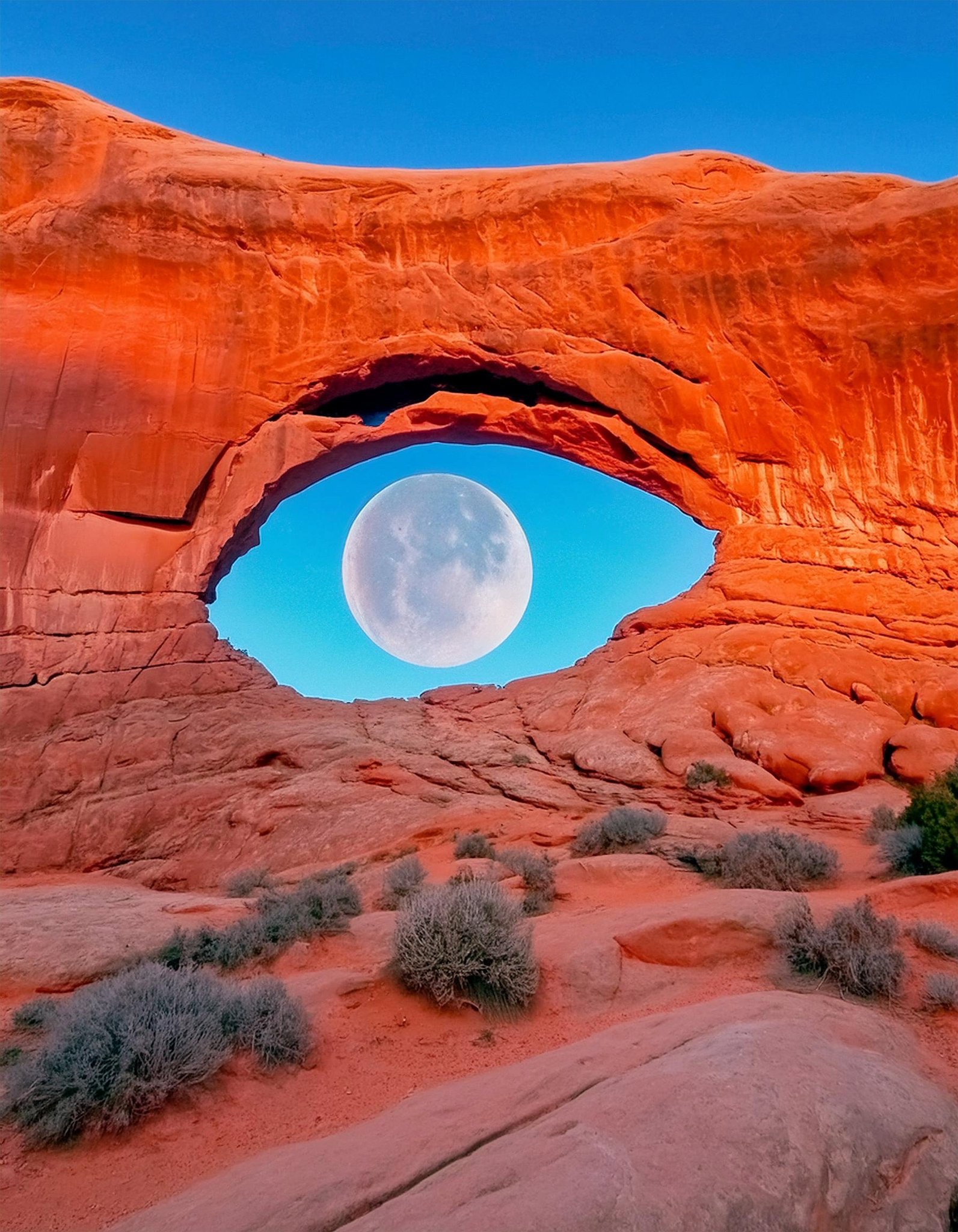 Nature's Artistry: Discover the Wonders of Arches National Park, Utah