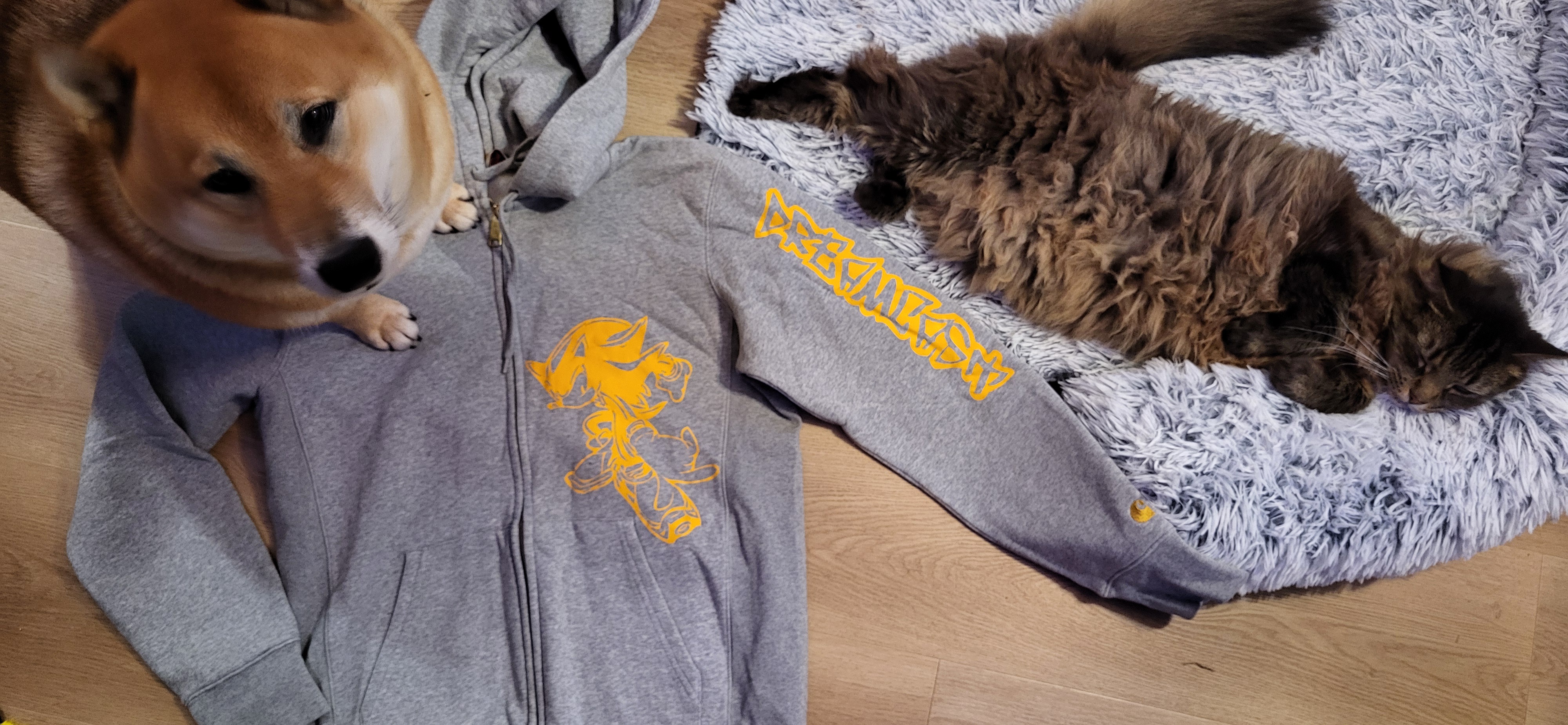 The First Dreamcast Hoodie: A Retro Treasure