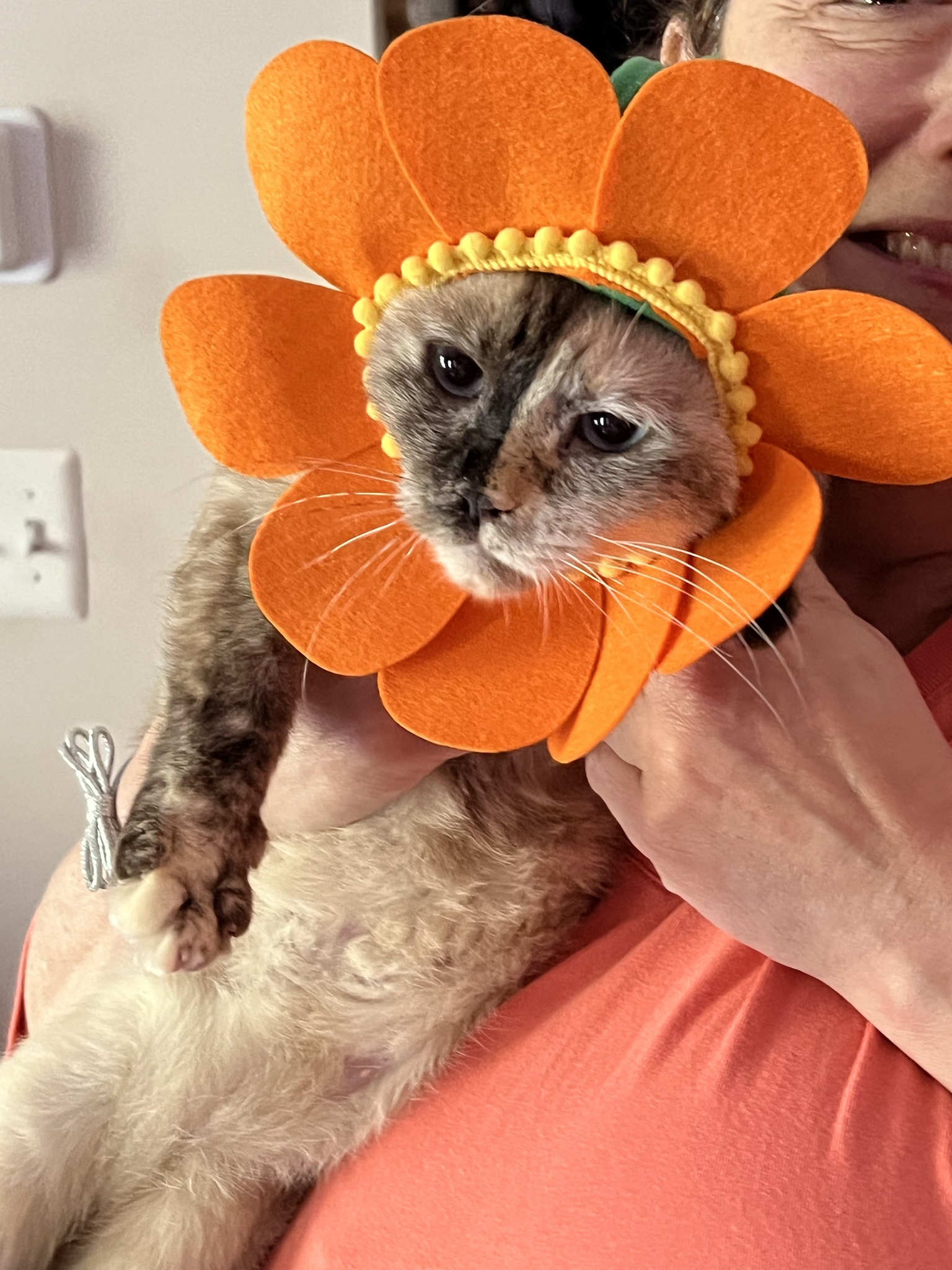 A Truly Delicate Flower in Bloom
