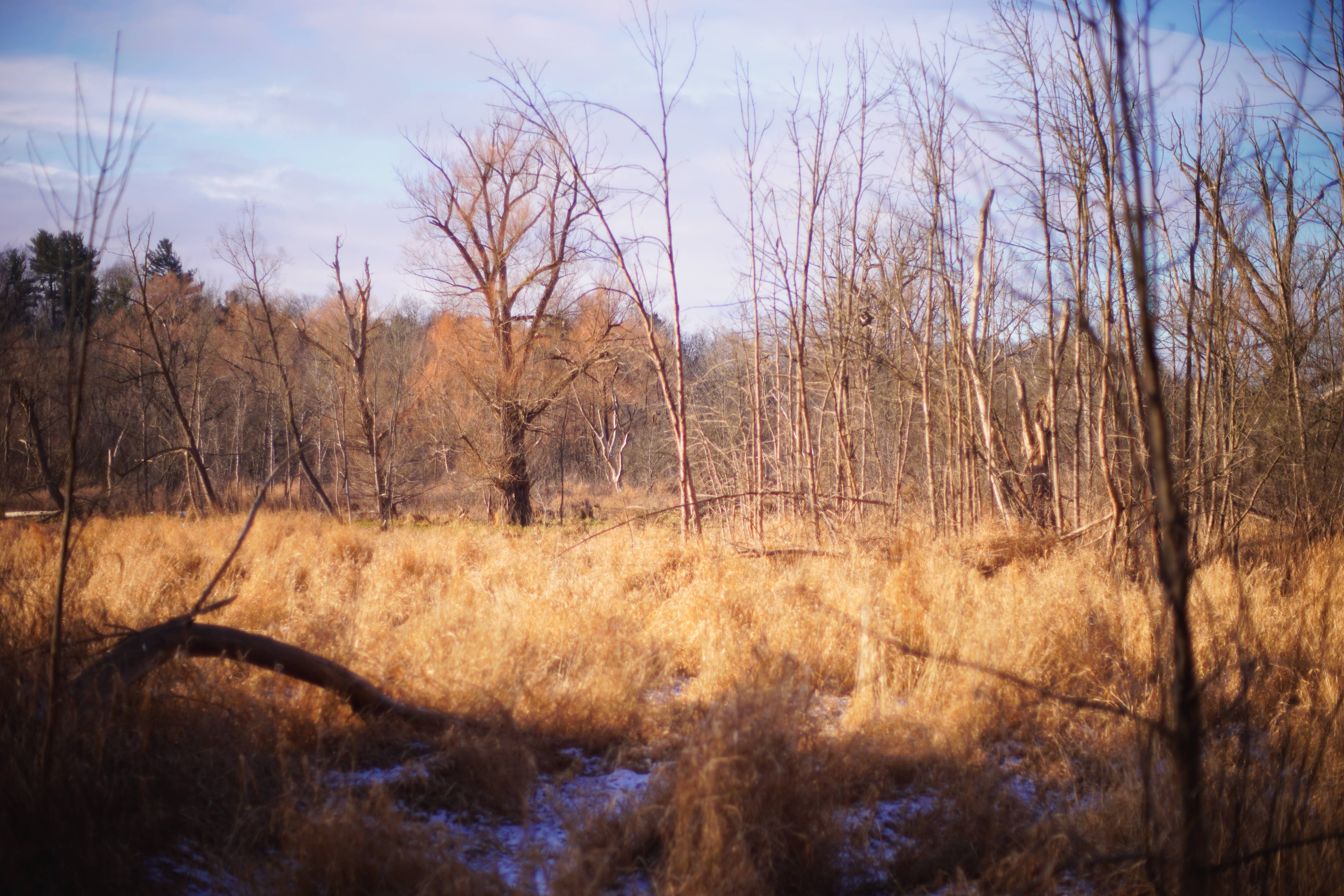 Enjoying a Bright Sunny Morning at Riverwood Conservancy