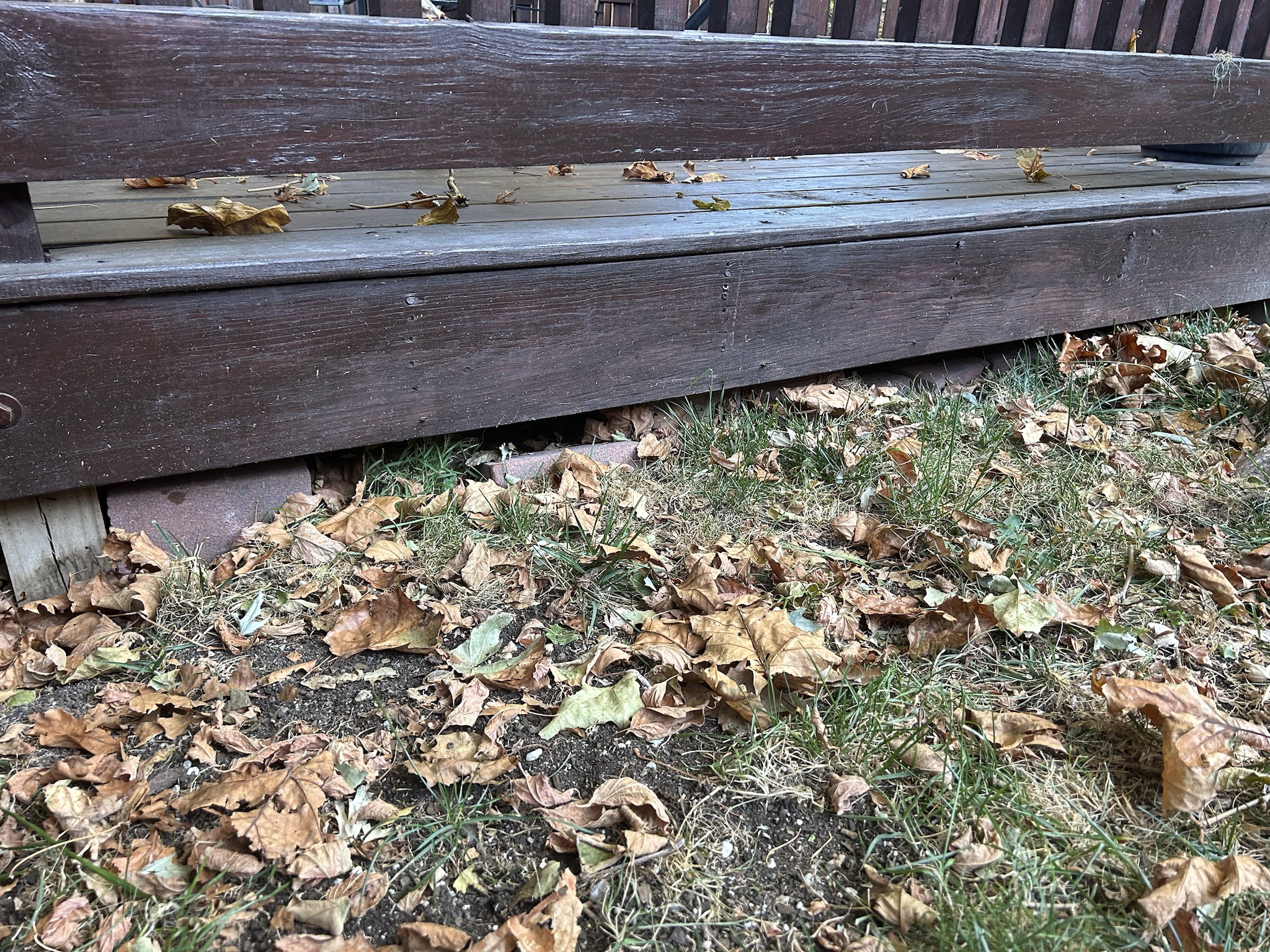 Grounds Creatively Burrowing Under the Deck