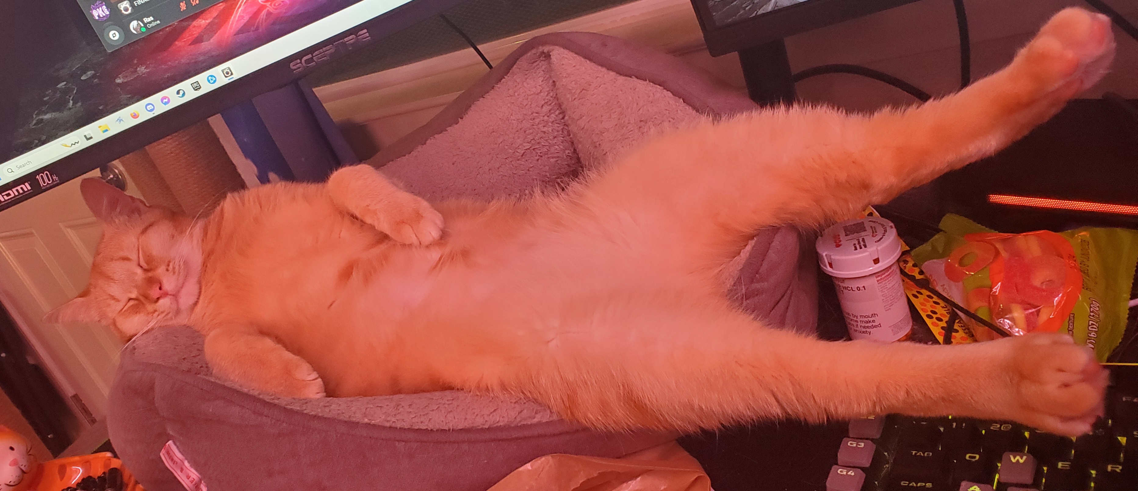 Legs for days!