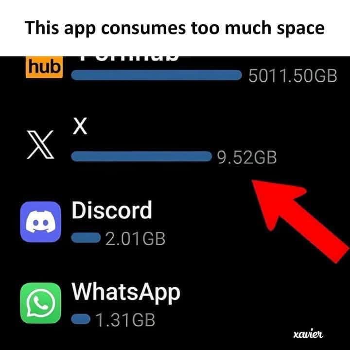 The Mystery of App X: Why Is It Hogging So Much Disk Space?