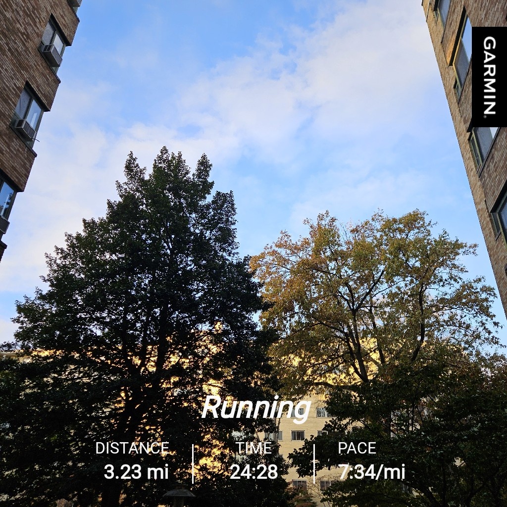 Just another daily run