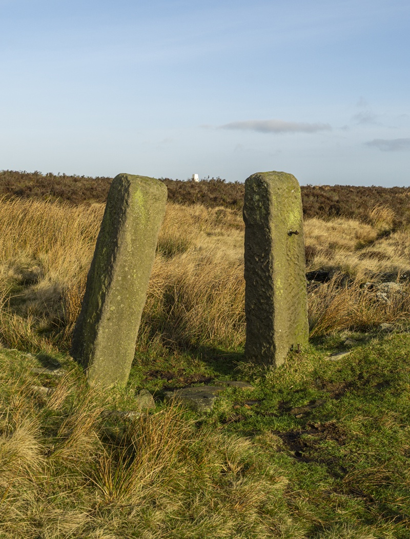 The Unassuming Gateposts of Life