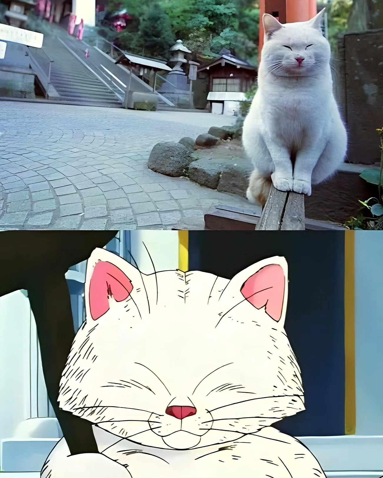 Introducing Master Korin: The Legend Continues!