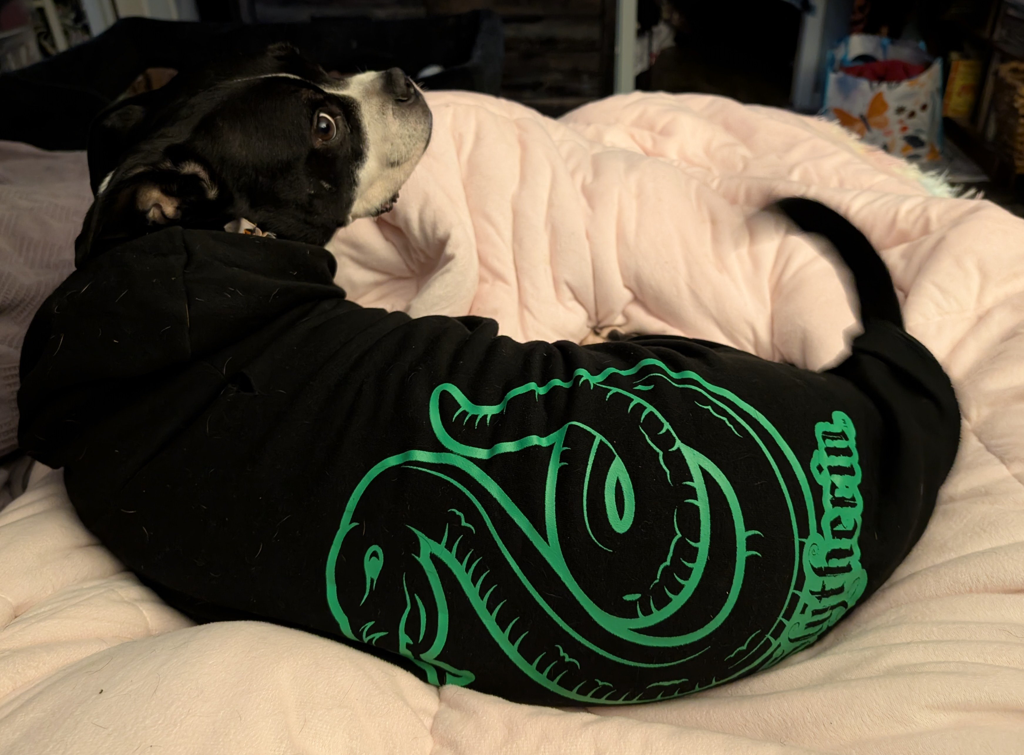 Meet my fabulous Slytherin girl!