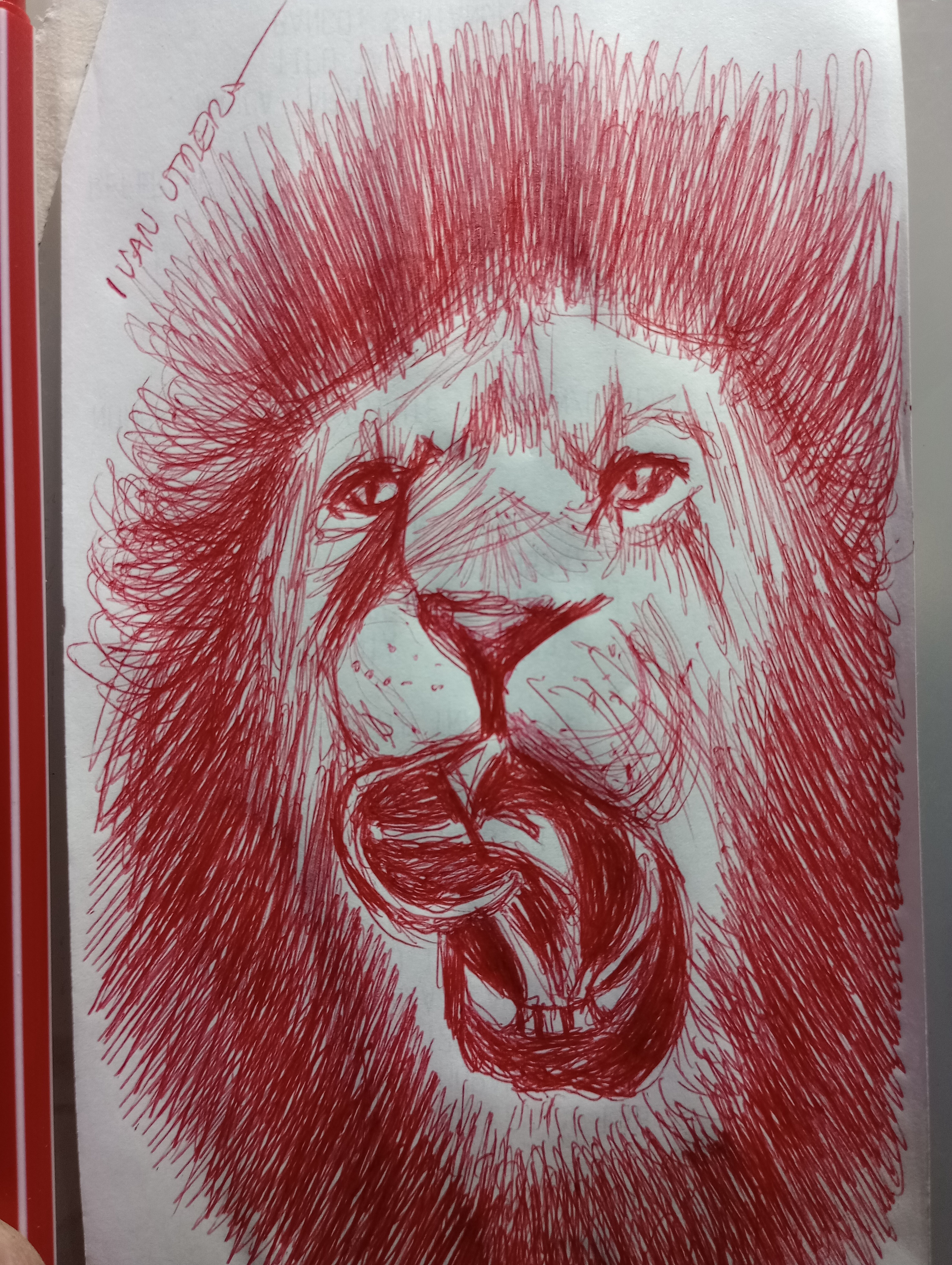 The Majestic Lion: King of the Jungle