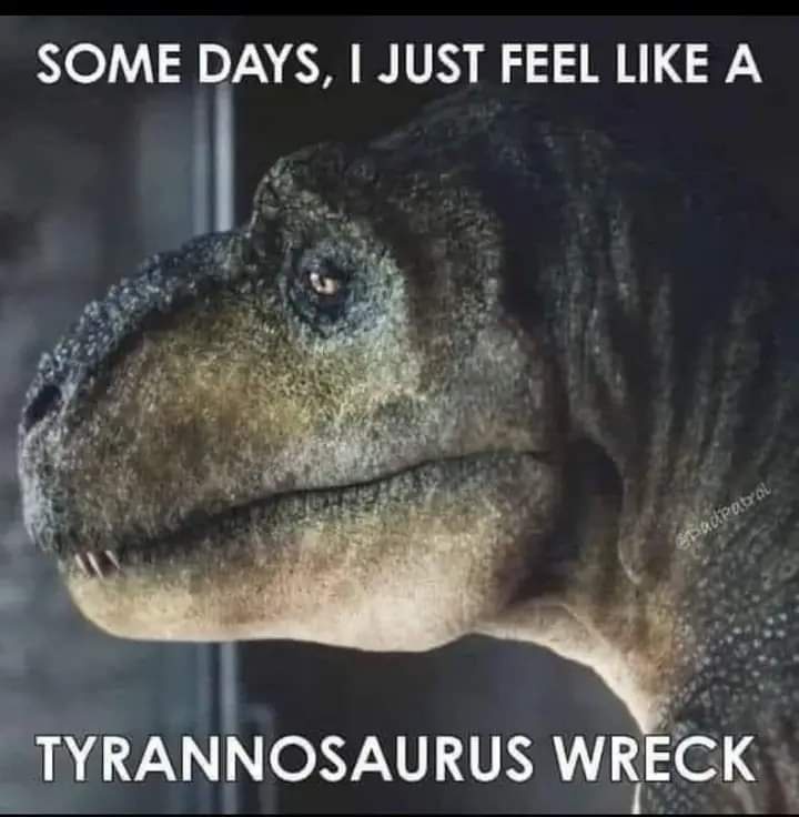 I'm basically a dilapidatedasaurus at this point