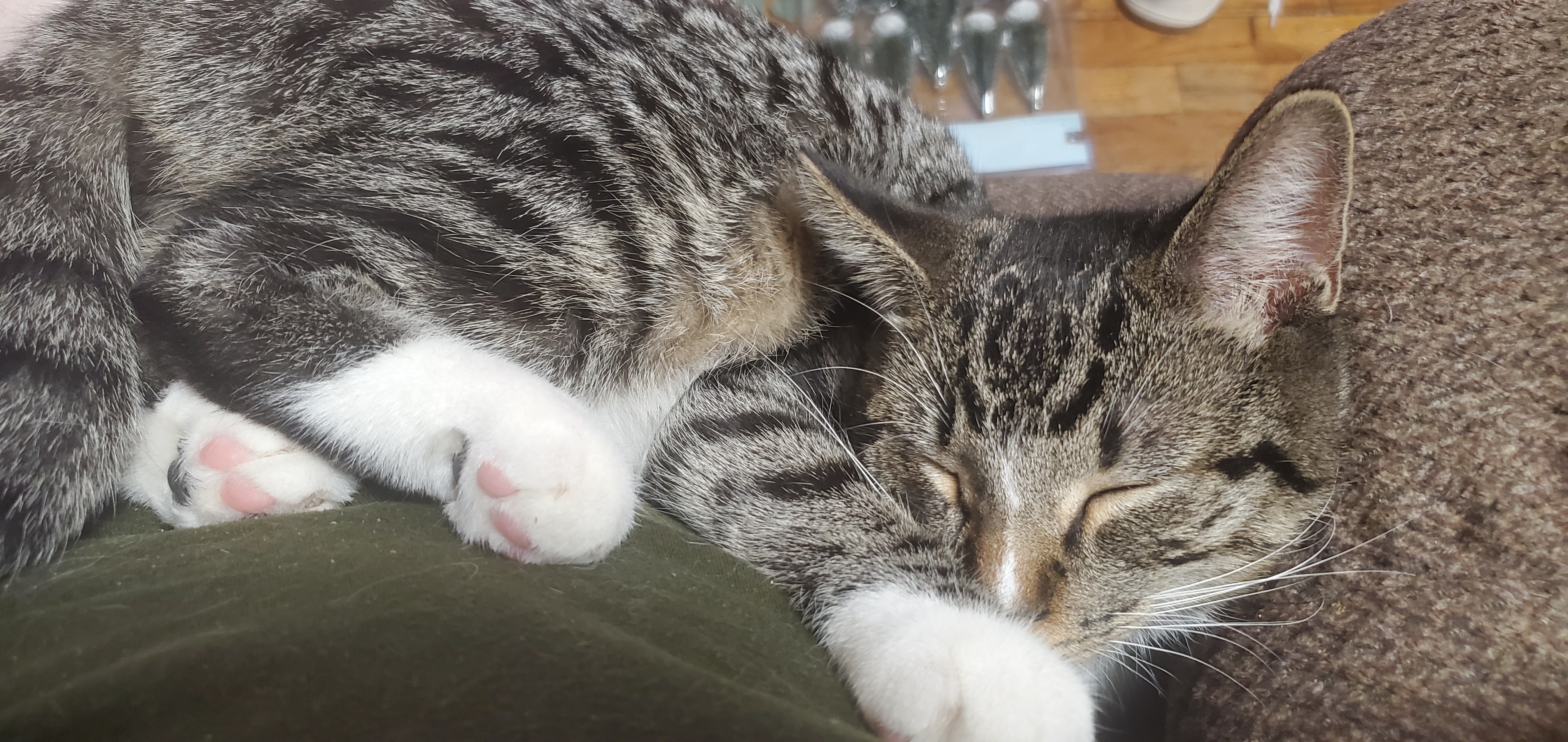 Discovering the Most Uncomfortable Sleeping Position Ever