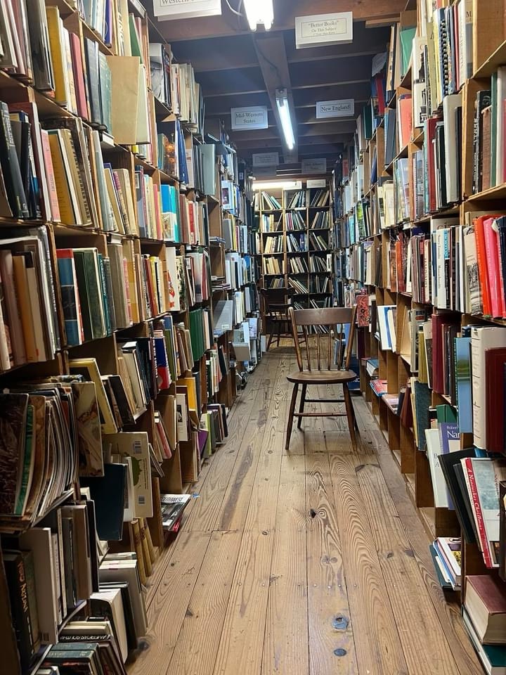 The Enchanting World of Bookshelves