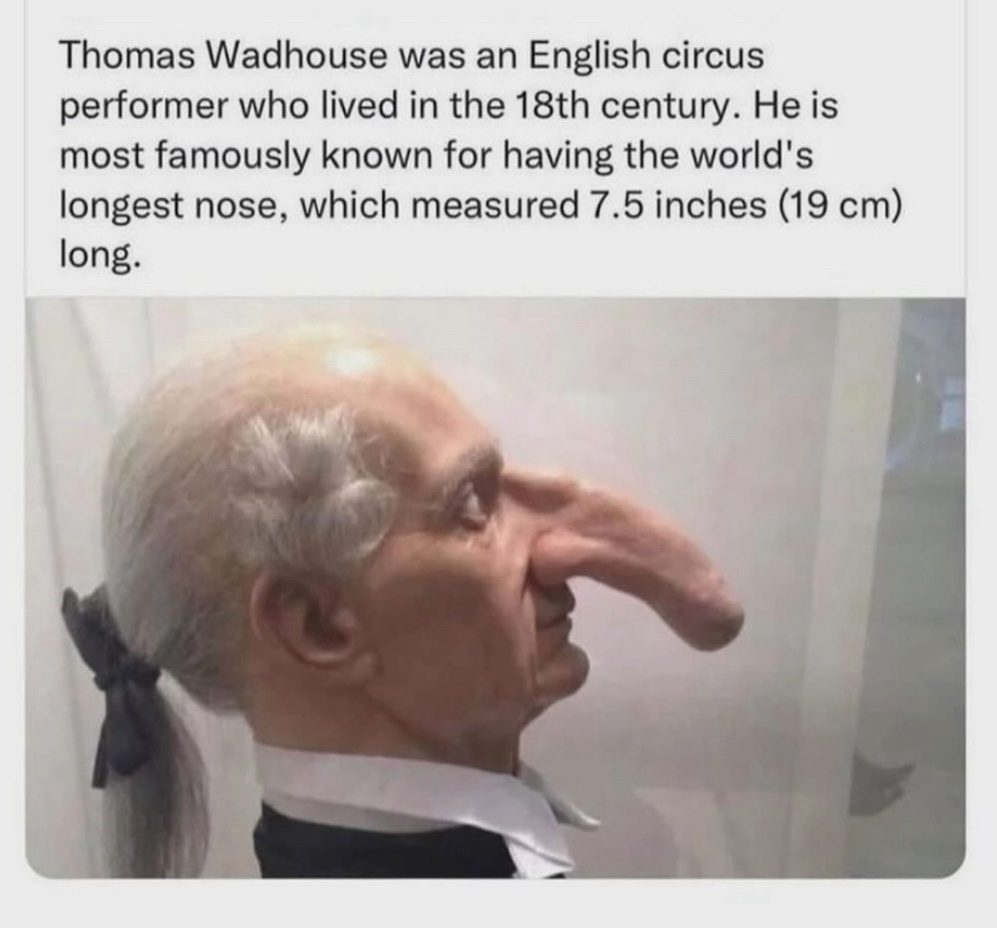 You Know He Definitely Gave It a Try at Least Once!