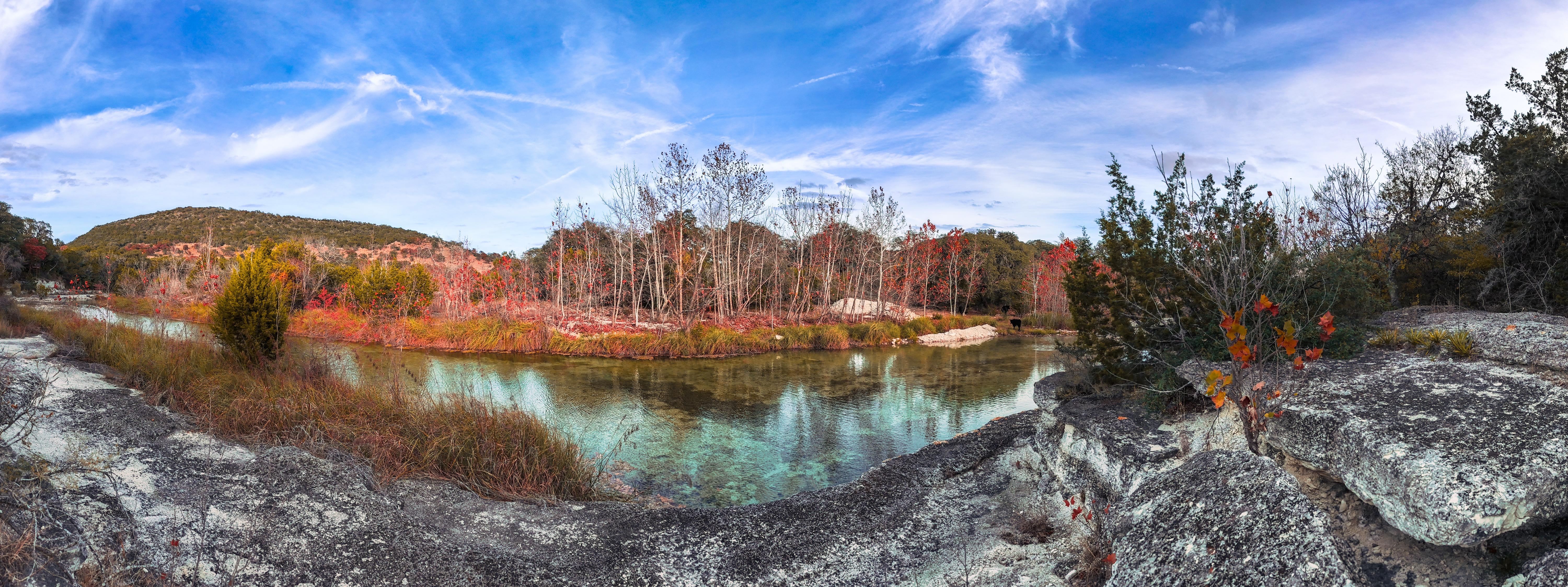 Can You Spot the Cows in This Turquoise Watering Hole?