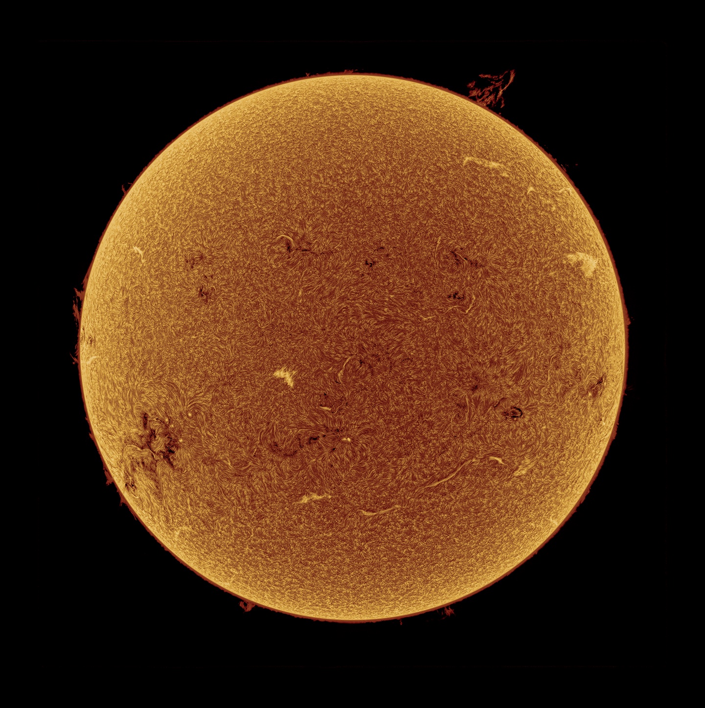 Embrace the Perihelion Experience