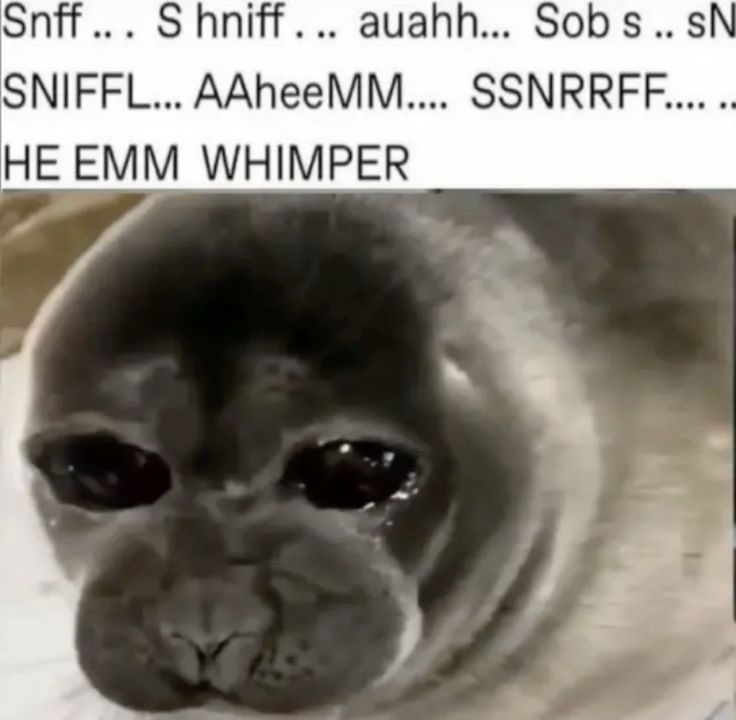 Memes Volume 501: The saga continues!