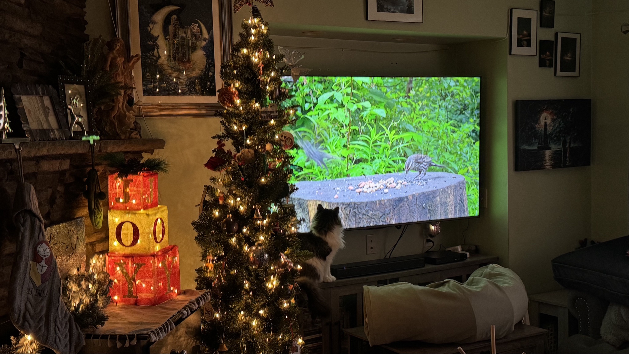 Queen Squee Needs Her Show to Unwind from Her Brother's Antics