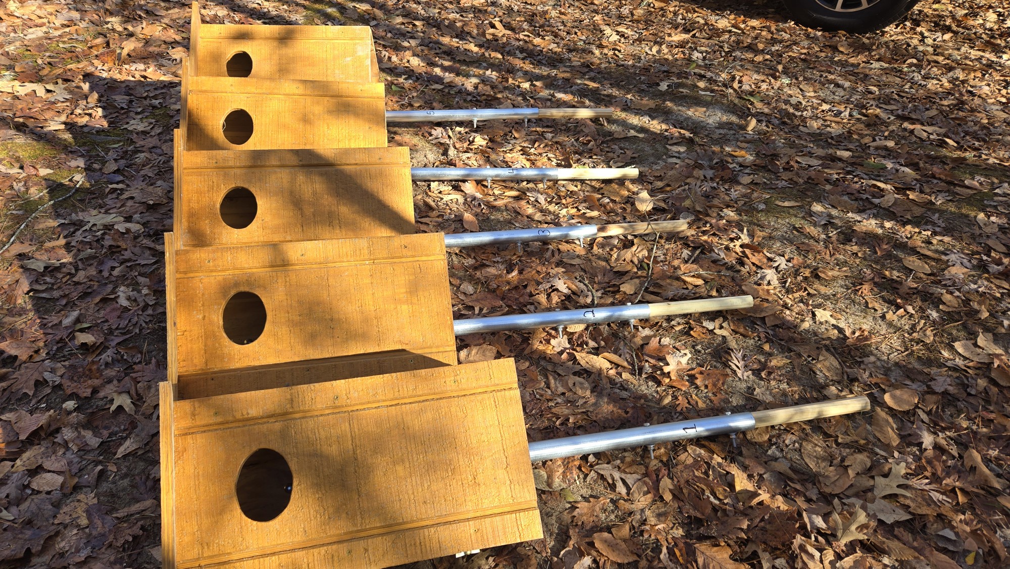 Exploring the Wood Duck Boxes hidden in the swamp.