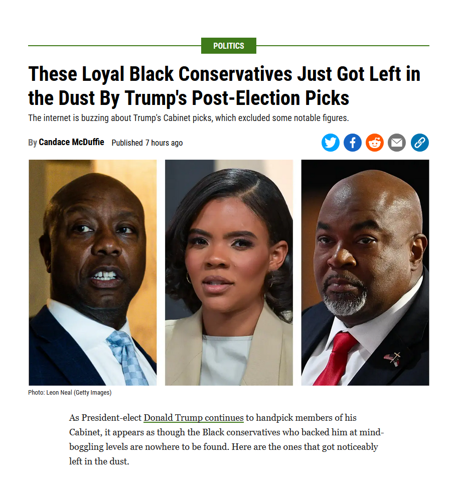 Surprised Black Nazis Realize They Aren't Chosen for Orange Shitler's Cabinet