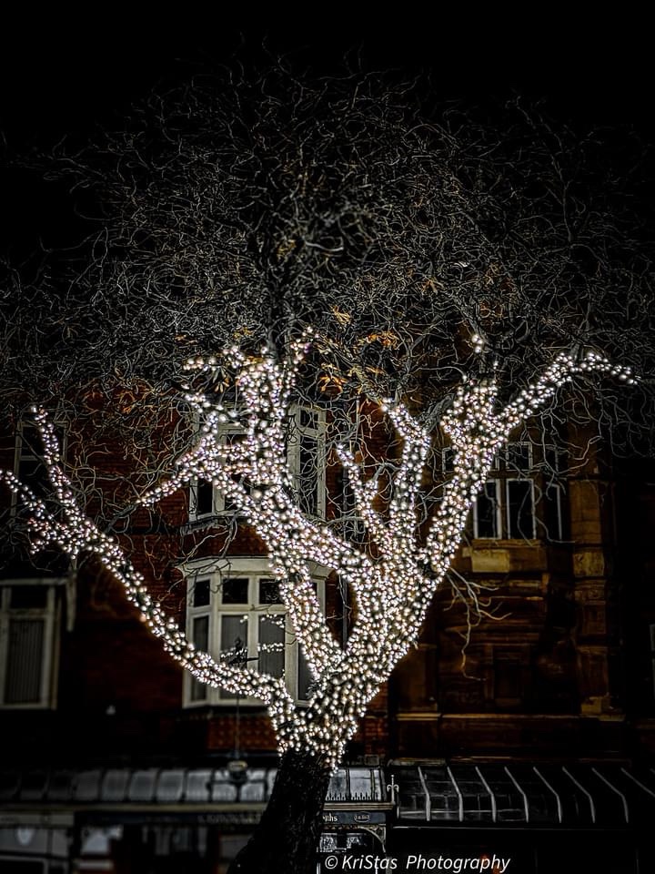 The Charm of Night Lights
