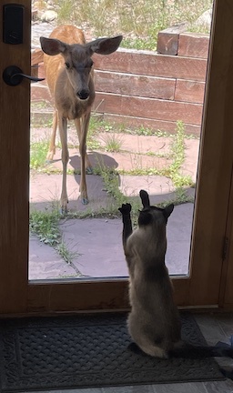 The Classic Battle Cry: 'Lemme at 'im, lemme at 'im...'