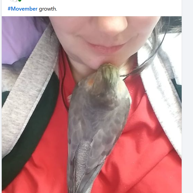 Movember is going strong this year!