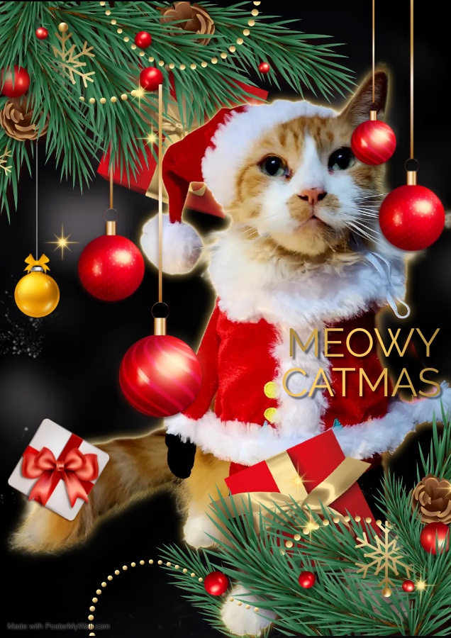Meowy Catmas Greetings from Mr. Percy and Friends!