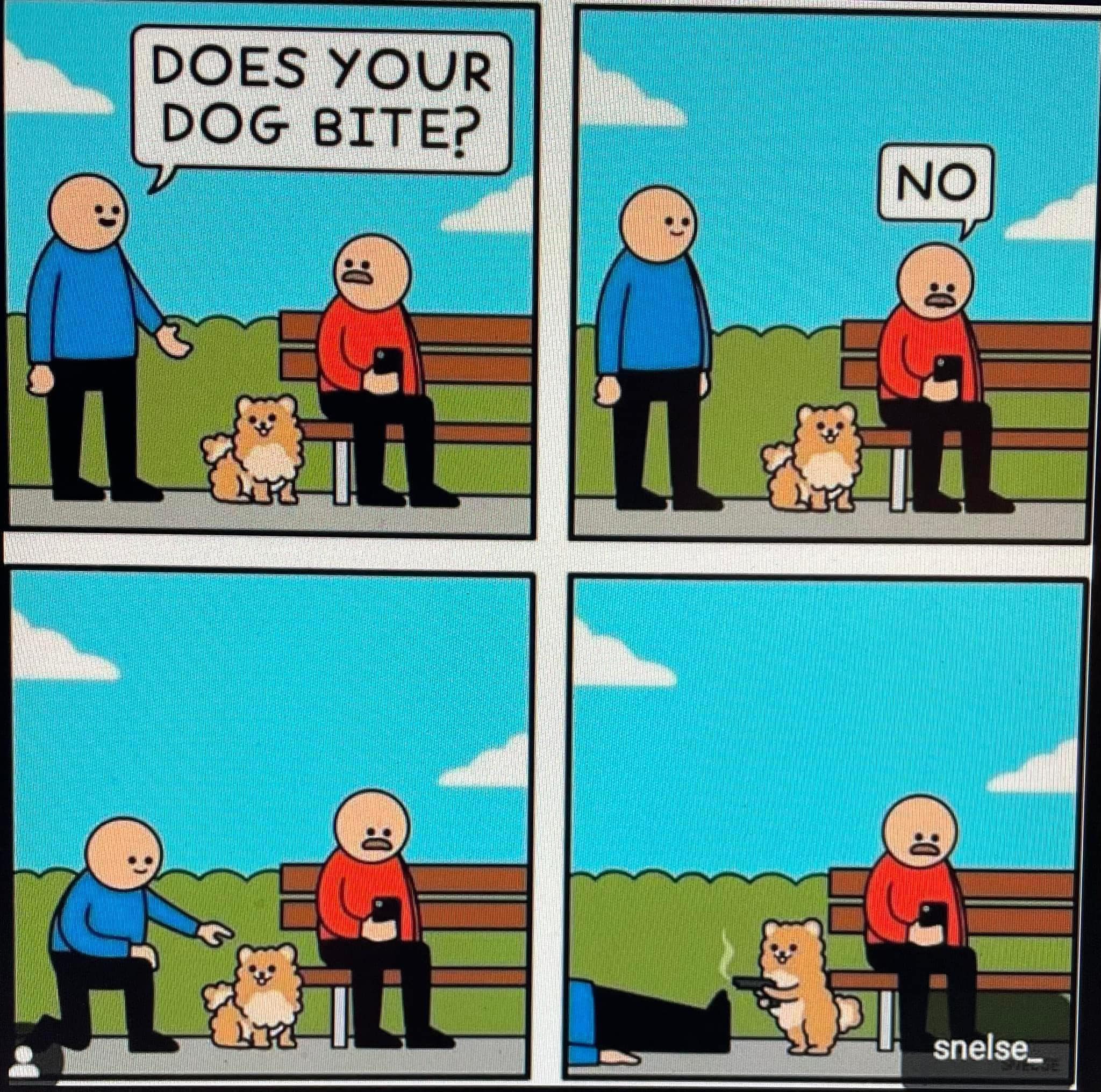 Just a Dog Being Adorable