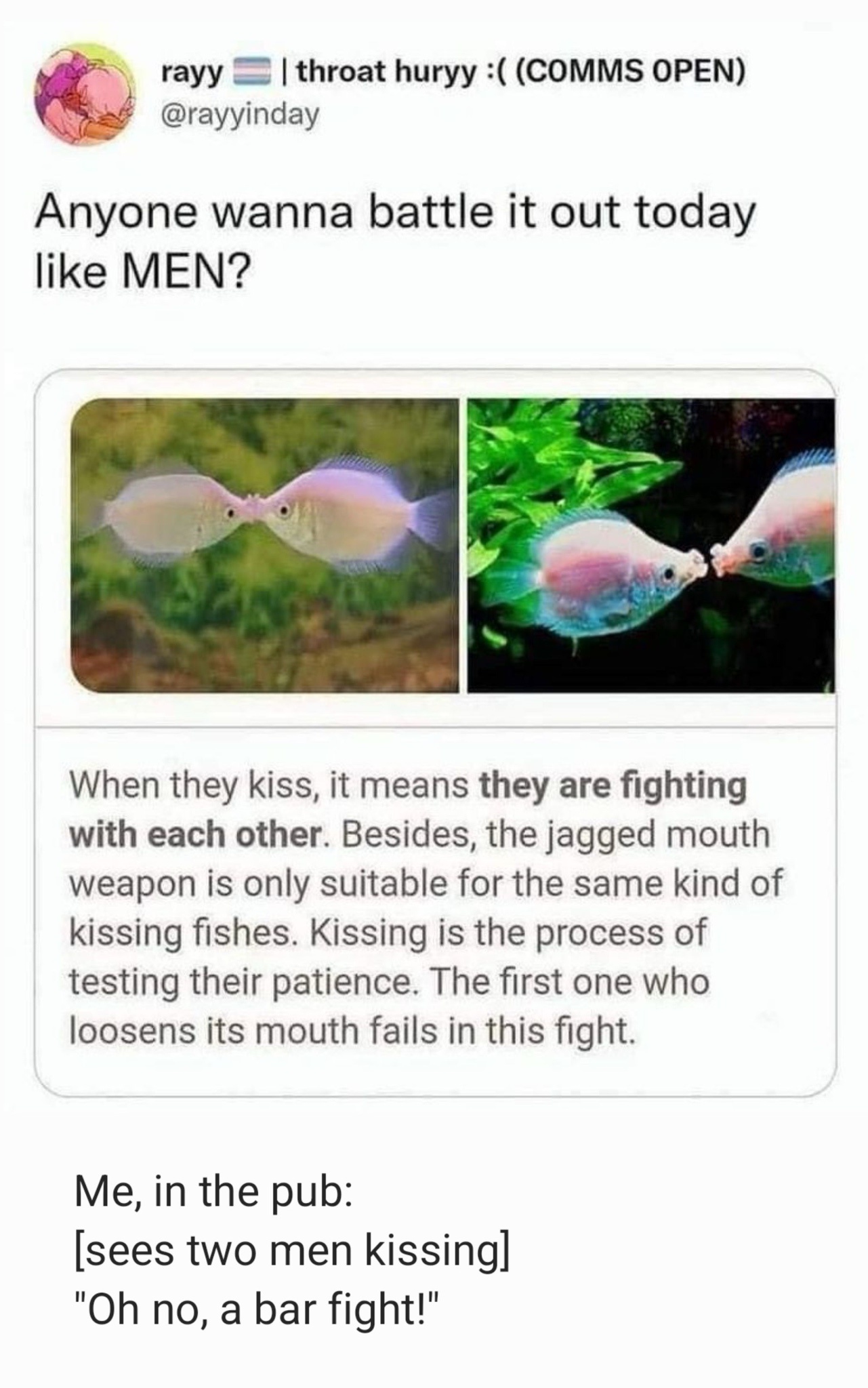 What Are We Even Doing Here, Bro!?